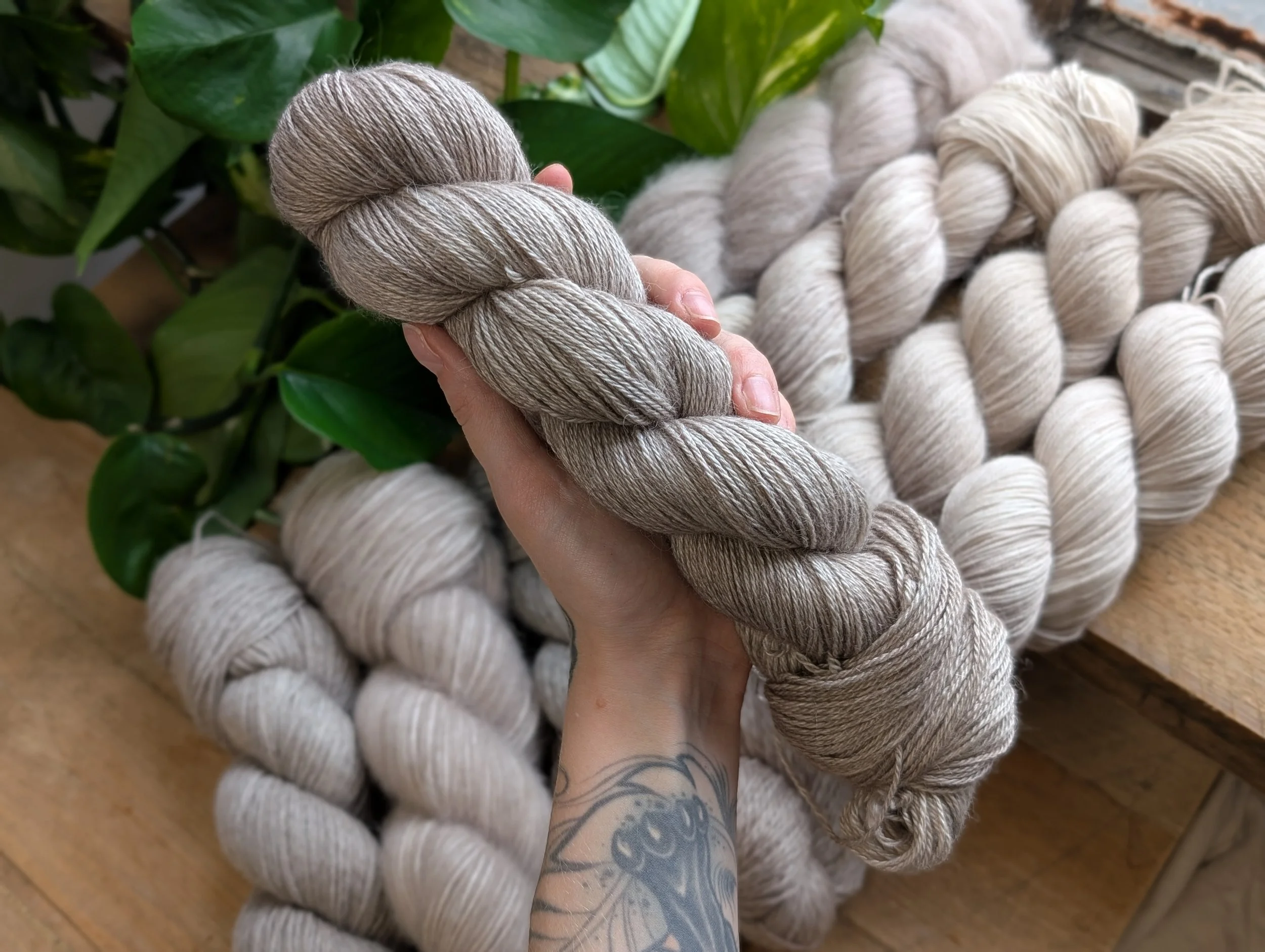 Alpaca Cash Silk - Wisp.jpg