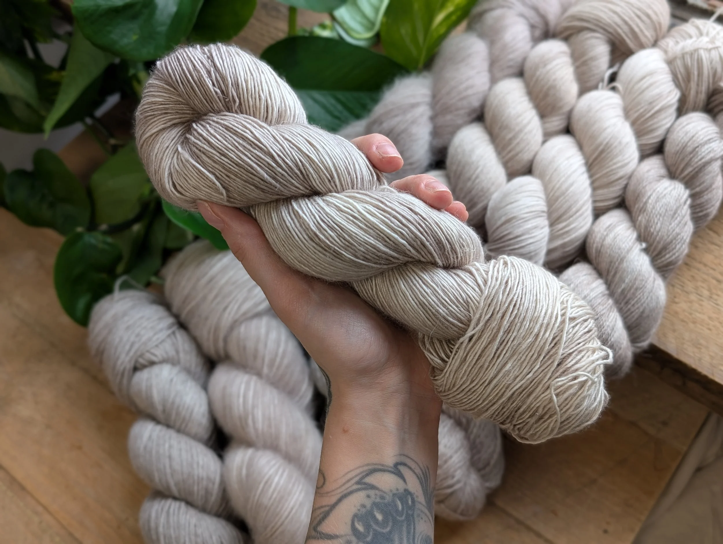 Linen Singles - Wisp.jpg