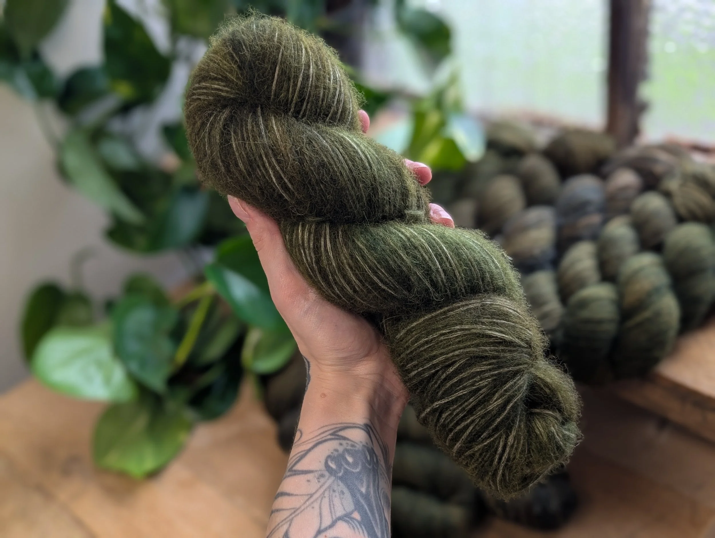Alpaca Air - Undergrowth.jpg