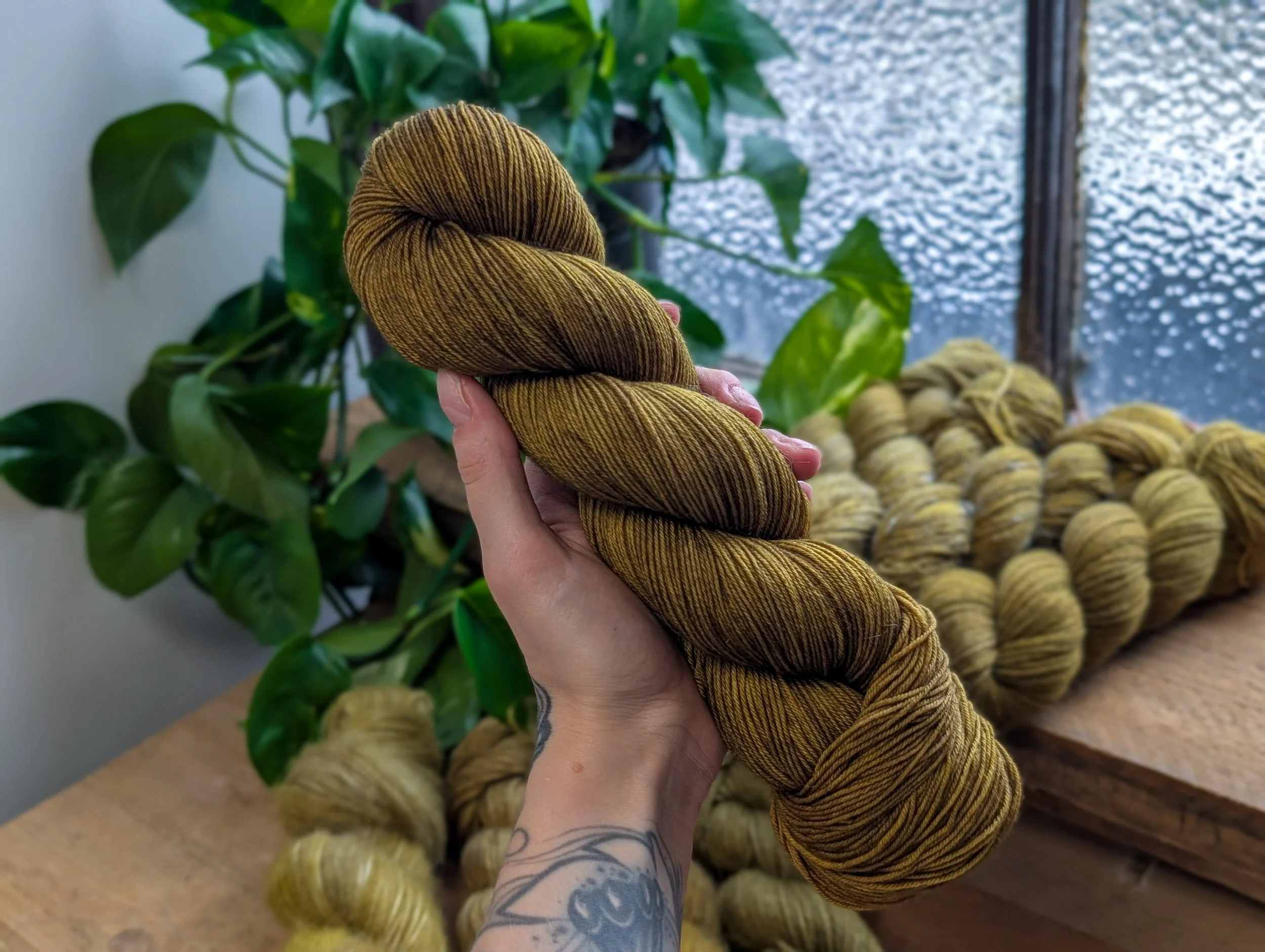 Merino Nylon - Lichen.jpg