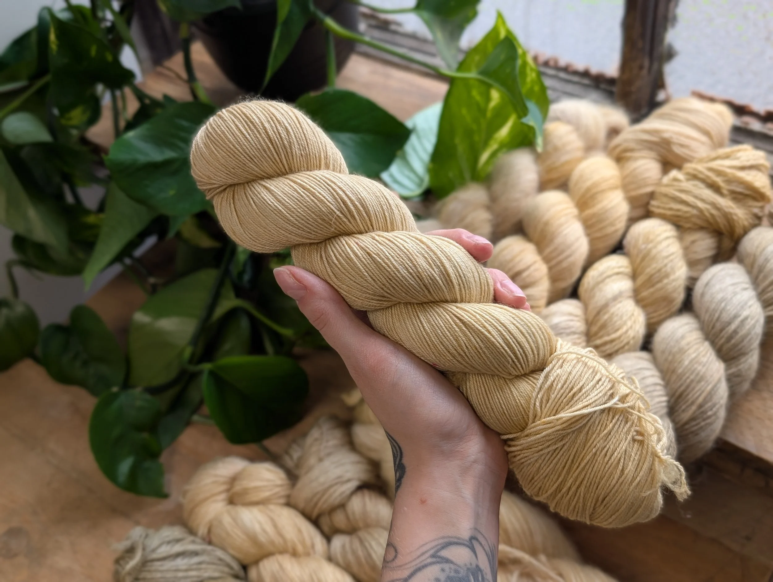 Merino Nylon - Grain.jpg