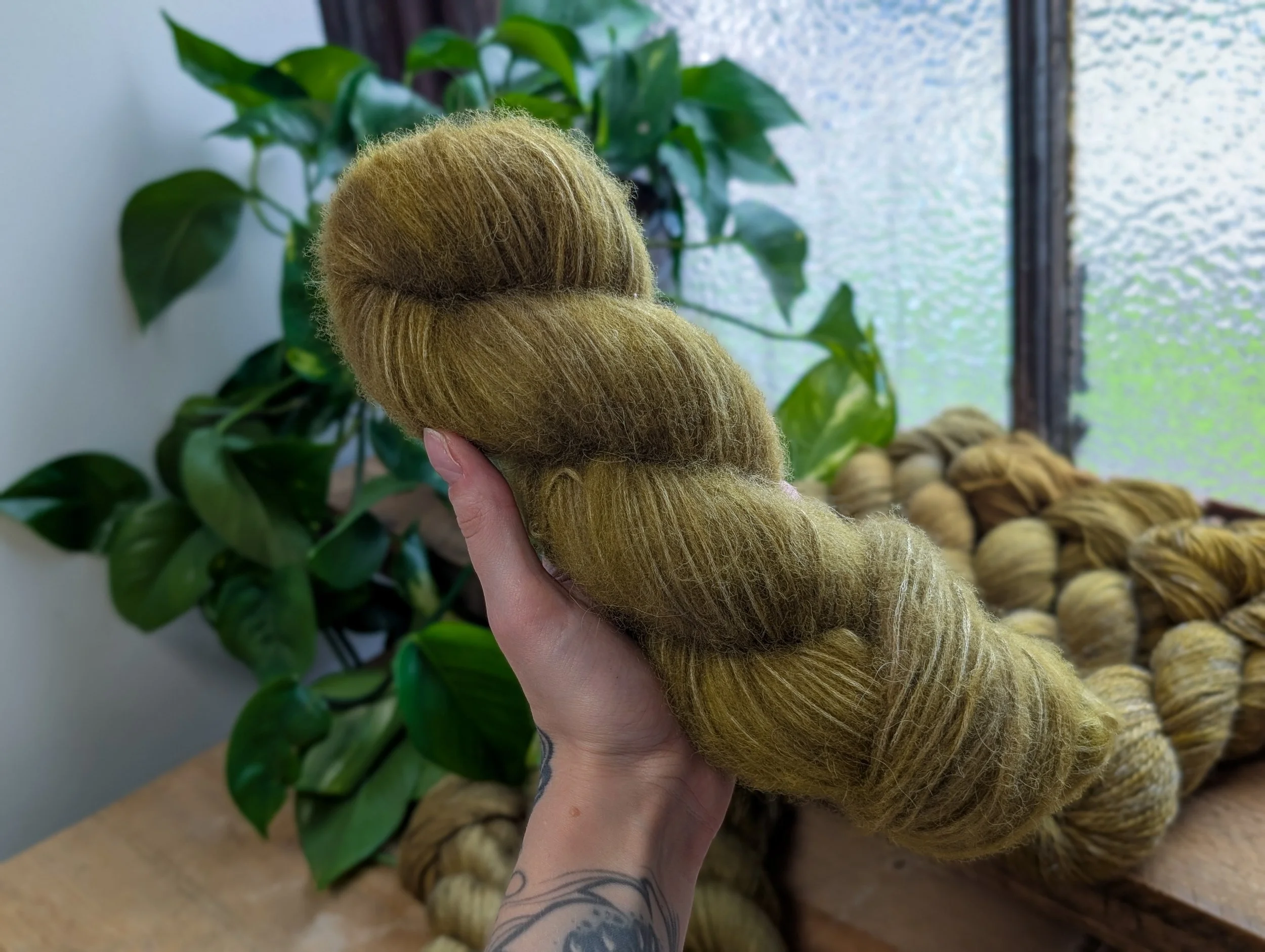 Alpaca Air - Lichen.jpg