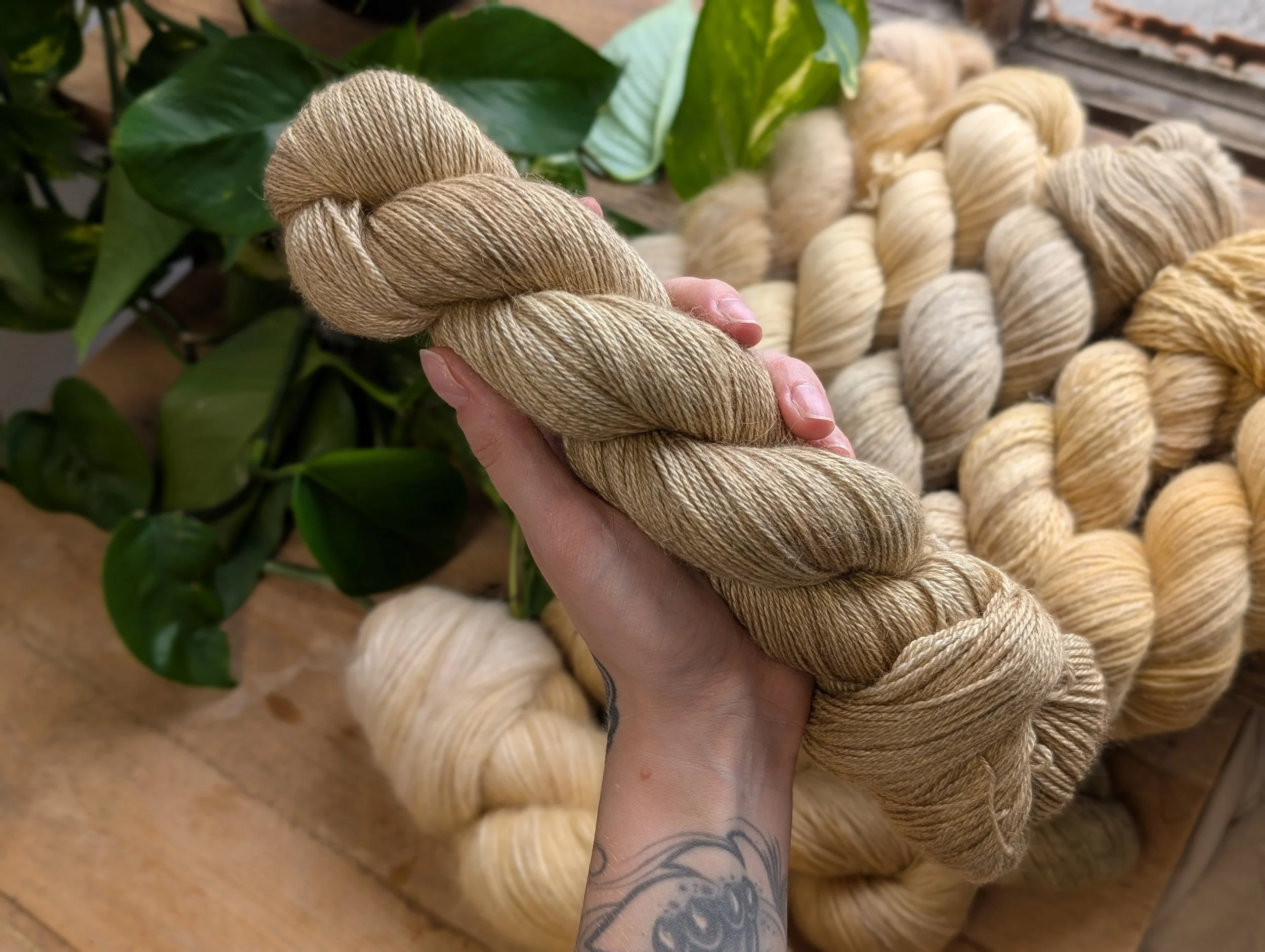 Alpaca Cash Silk - Grain.jpg