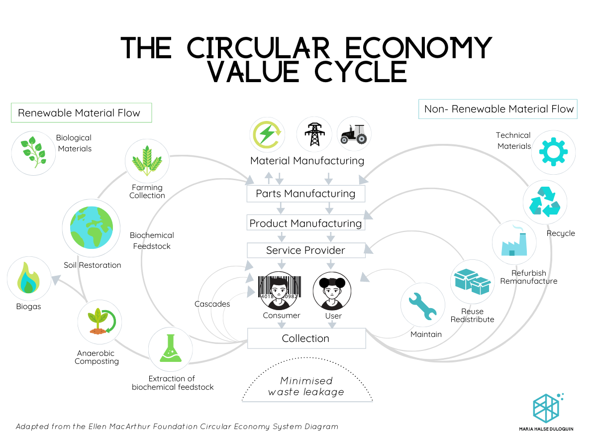 Circular Economy: The Innovation Catalyst for Our Future — MHD Innovation