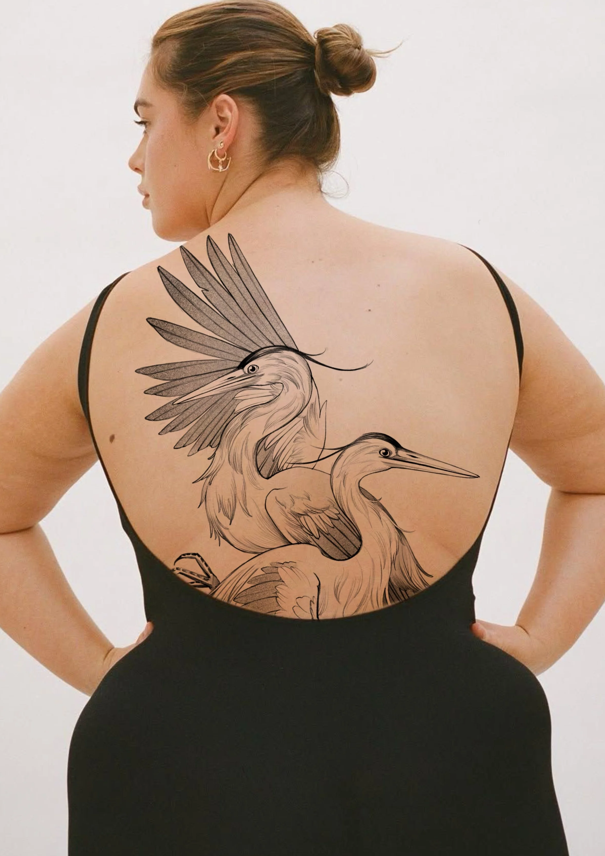 Heron (3 to 4 sessions)