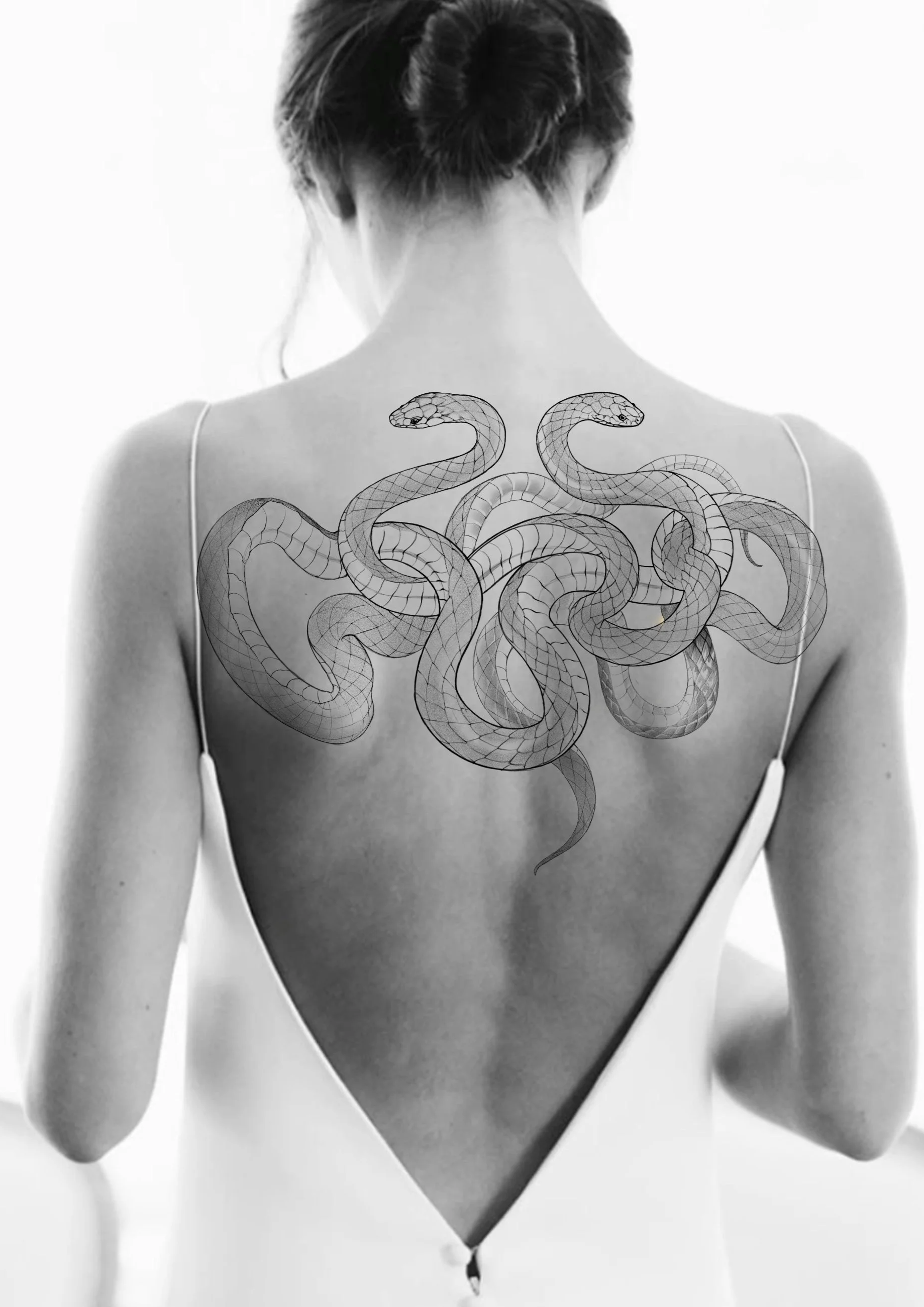 Serpent (2 to 3 sessions)