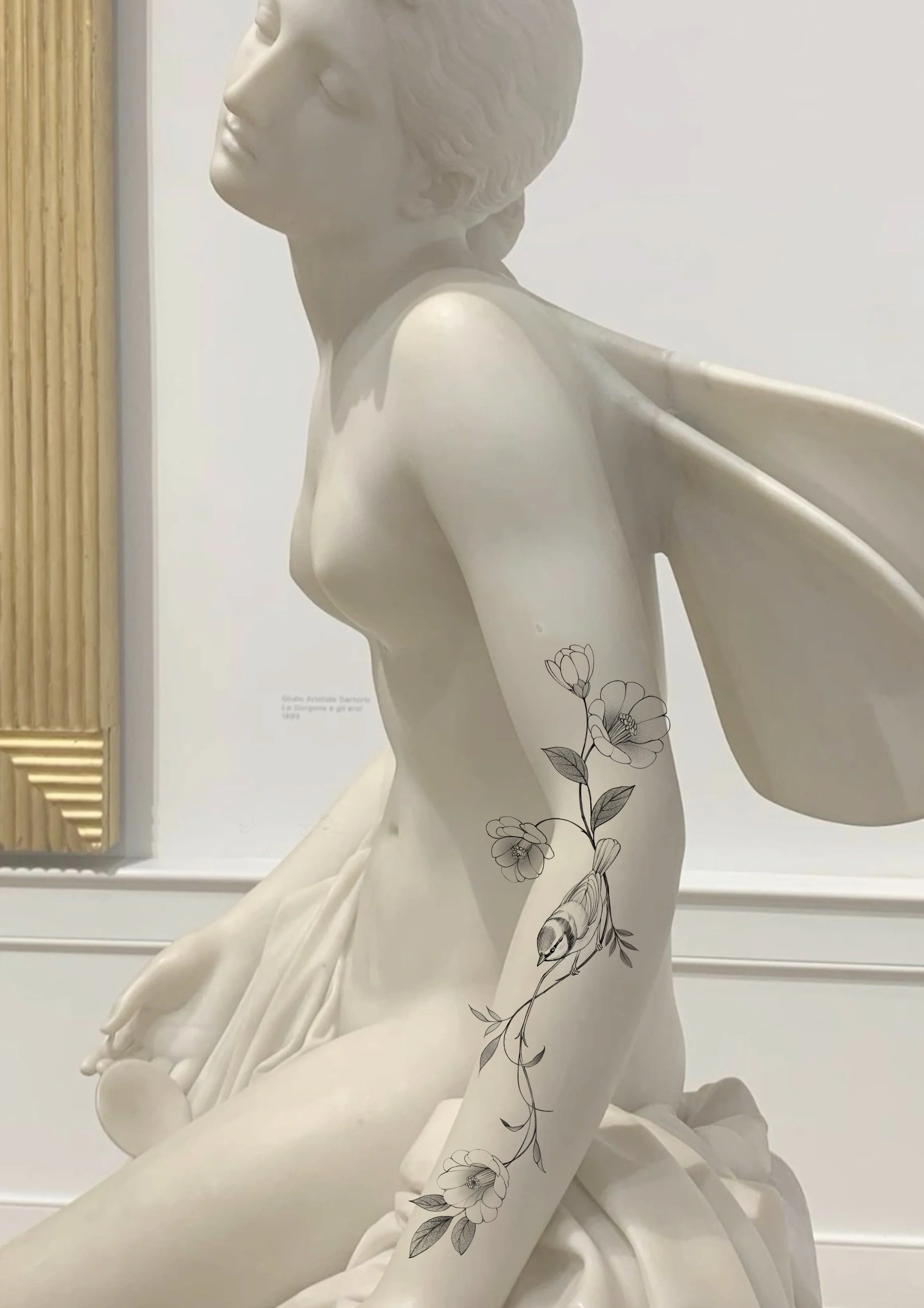 Camelia & Blue Tit (1 session)