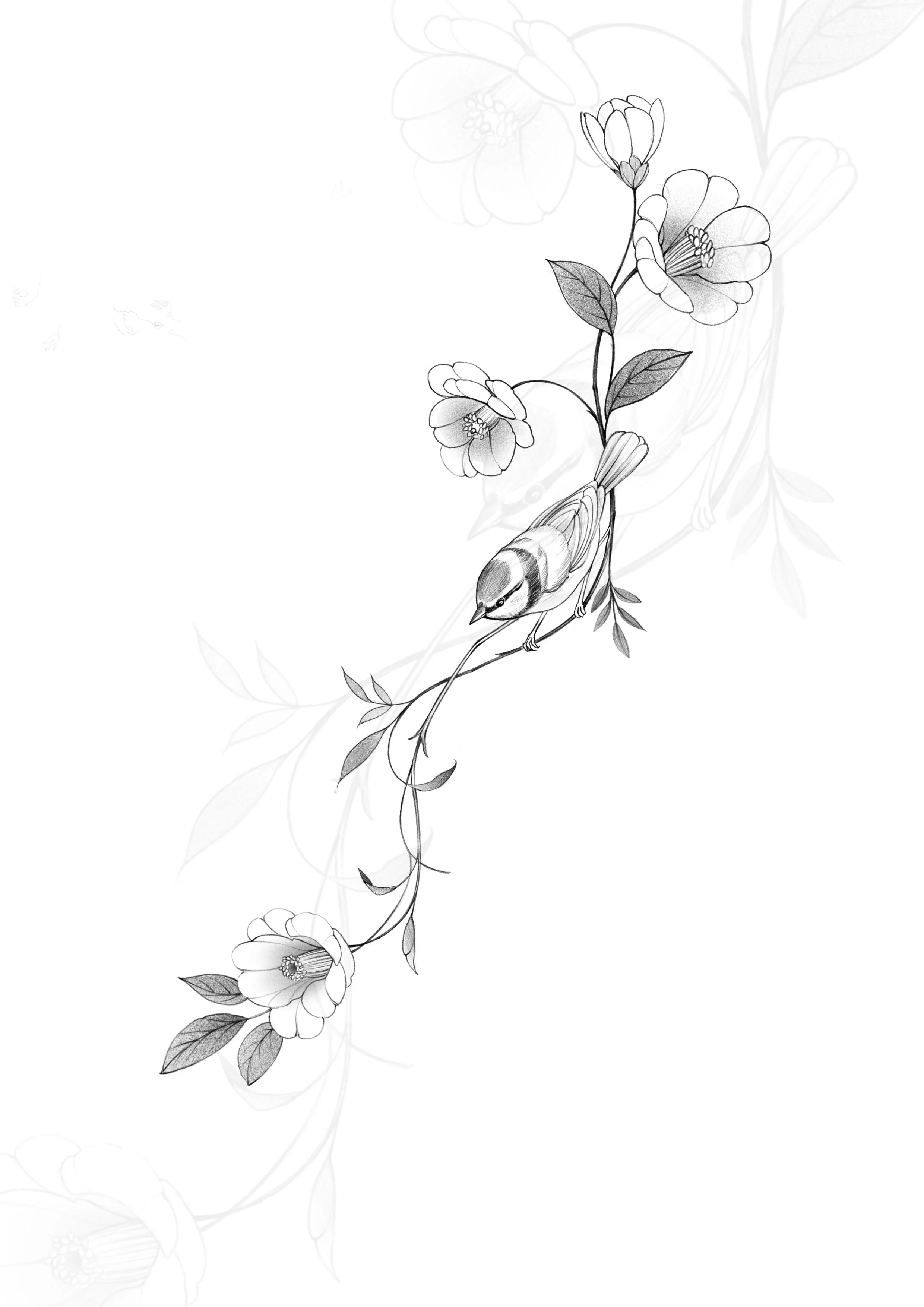 Camelia & Blue Tit (1 session)