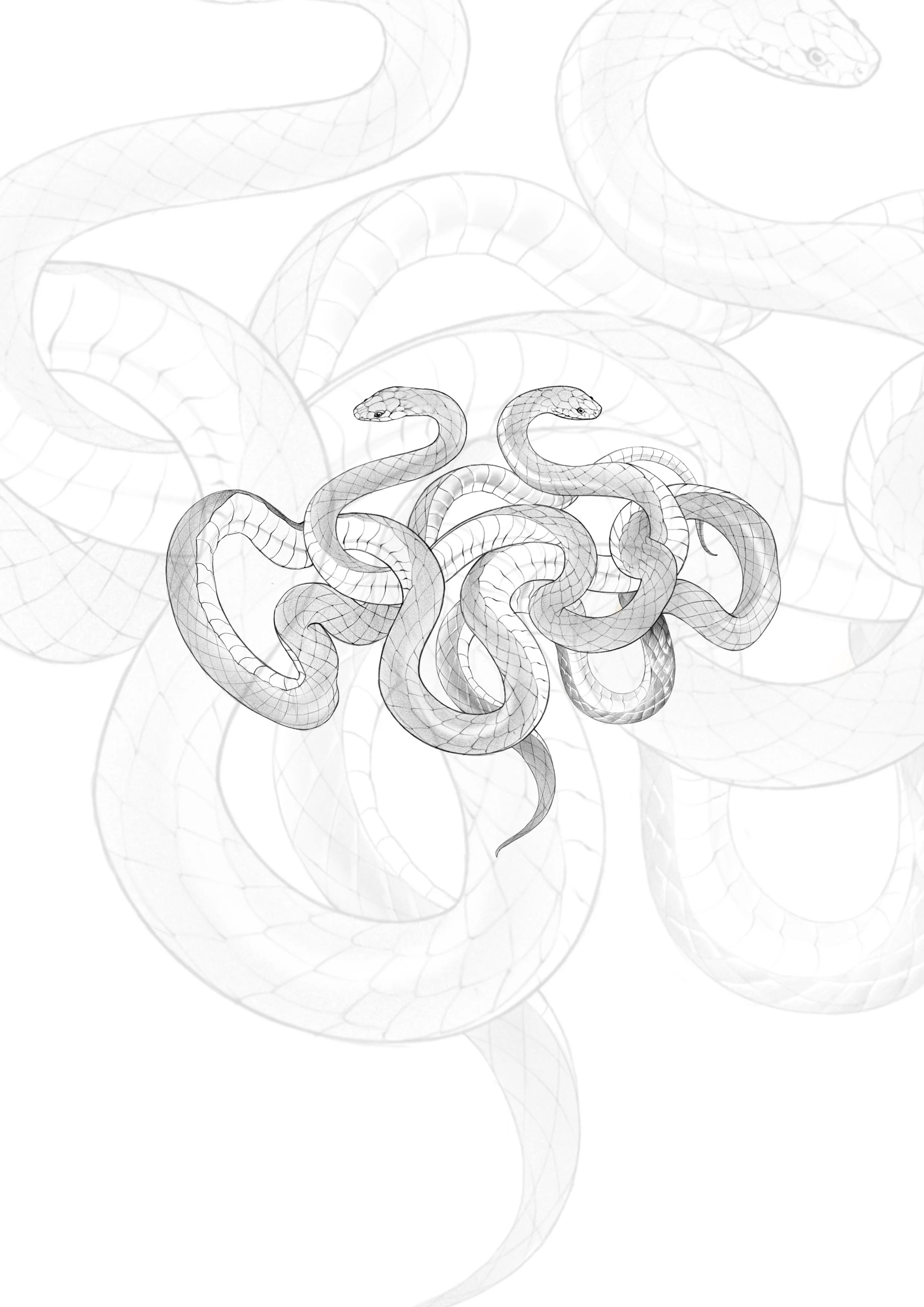 Serpent (2 to 3 sessions)