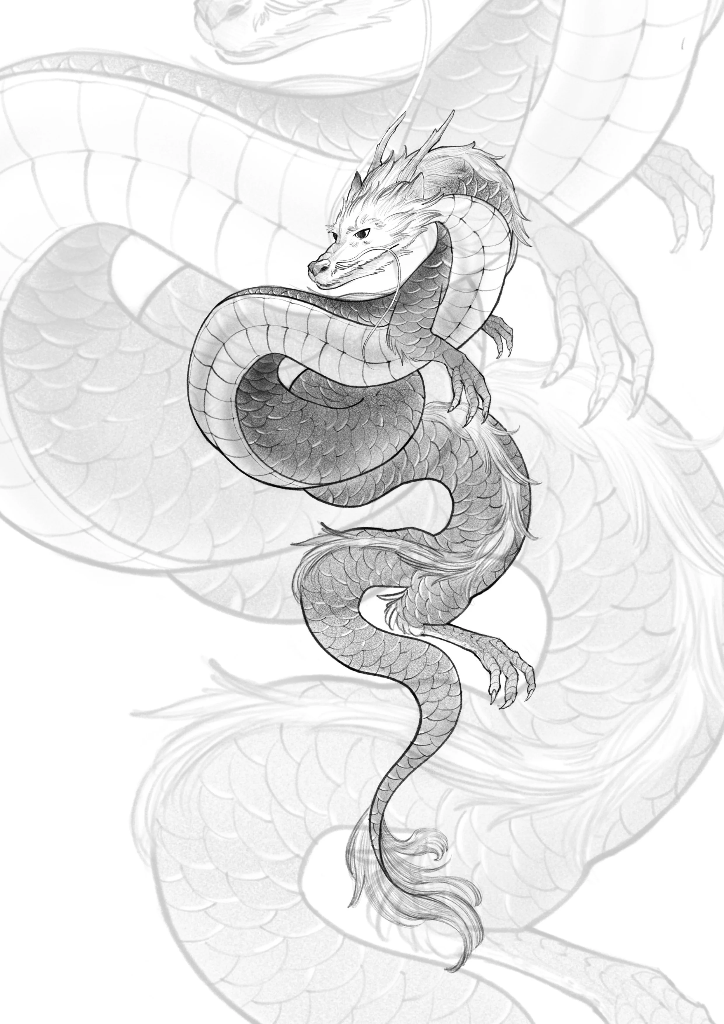 Dragon (2 to 3 sessions)