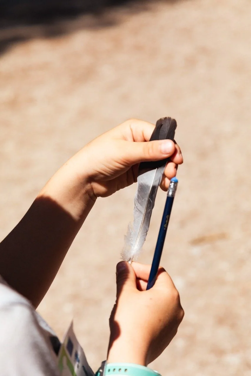 IGOStudio-Pioche Day 2-18 - Grande.jpeg