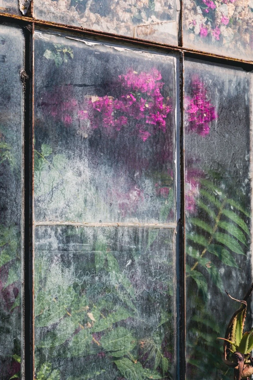 IGOSTUDIO-Akou-Jardinerie-194 - Grande.jpeg