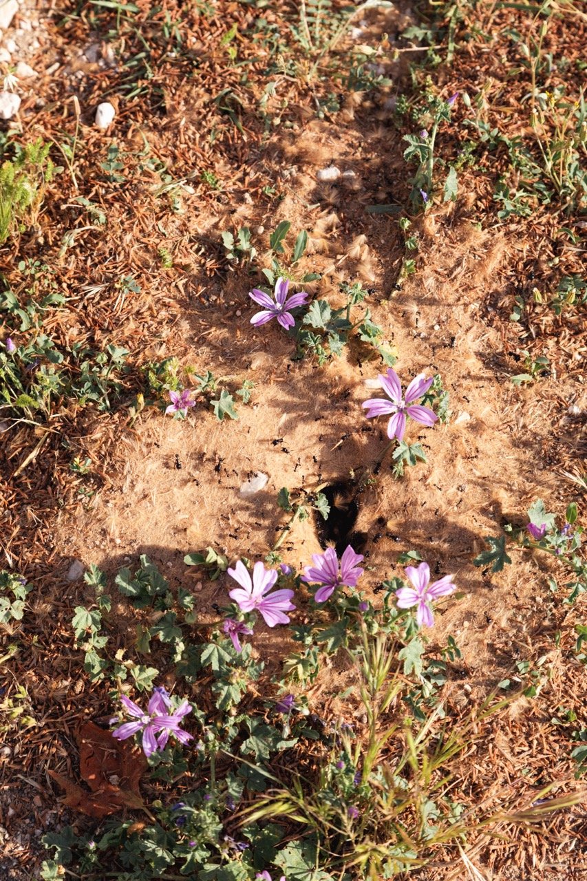 IGOStudio-Pioche Day 1-12 - Grande.jpeg