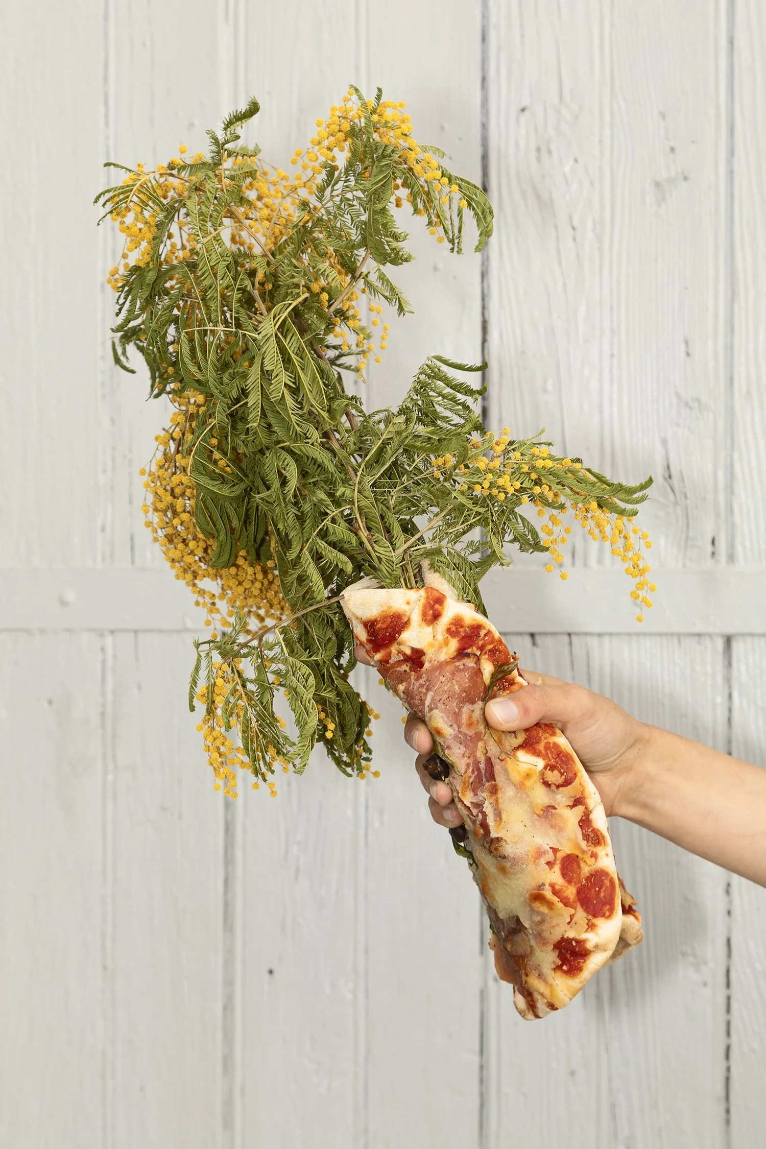 A hand holding a piece of pizza with pepperoni and cheese, attached to a bunch of yellow-flowered mimosa tree branches, against a white wooden background.