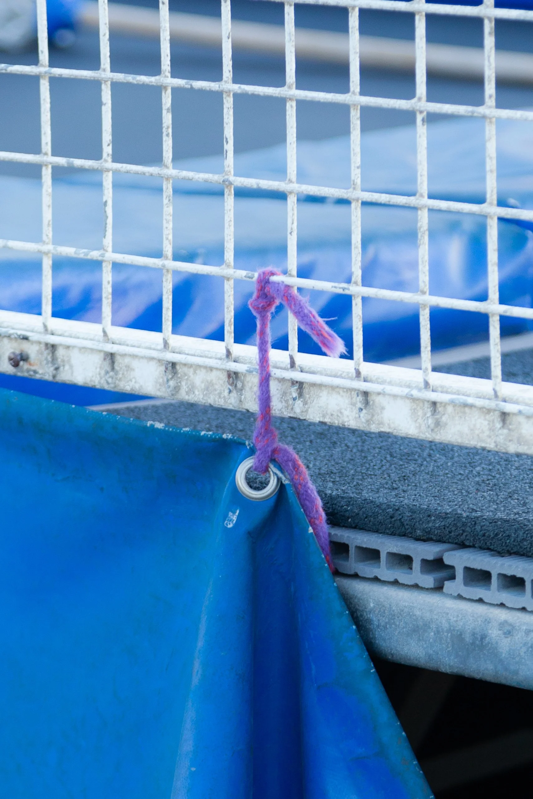 camera flow 2-16.jpg