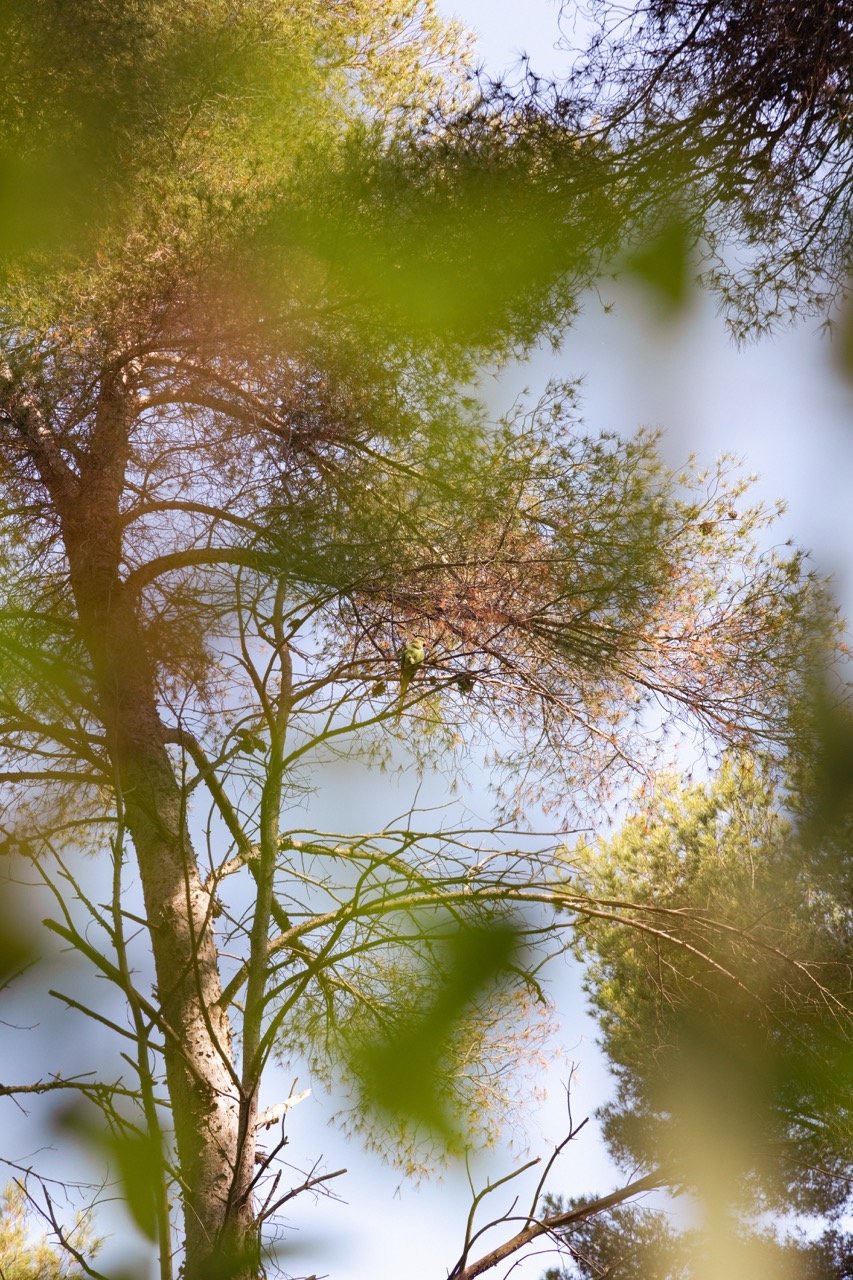 IGOStudio-Pioche Day 2-6 - Grande.jpeg