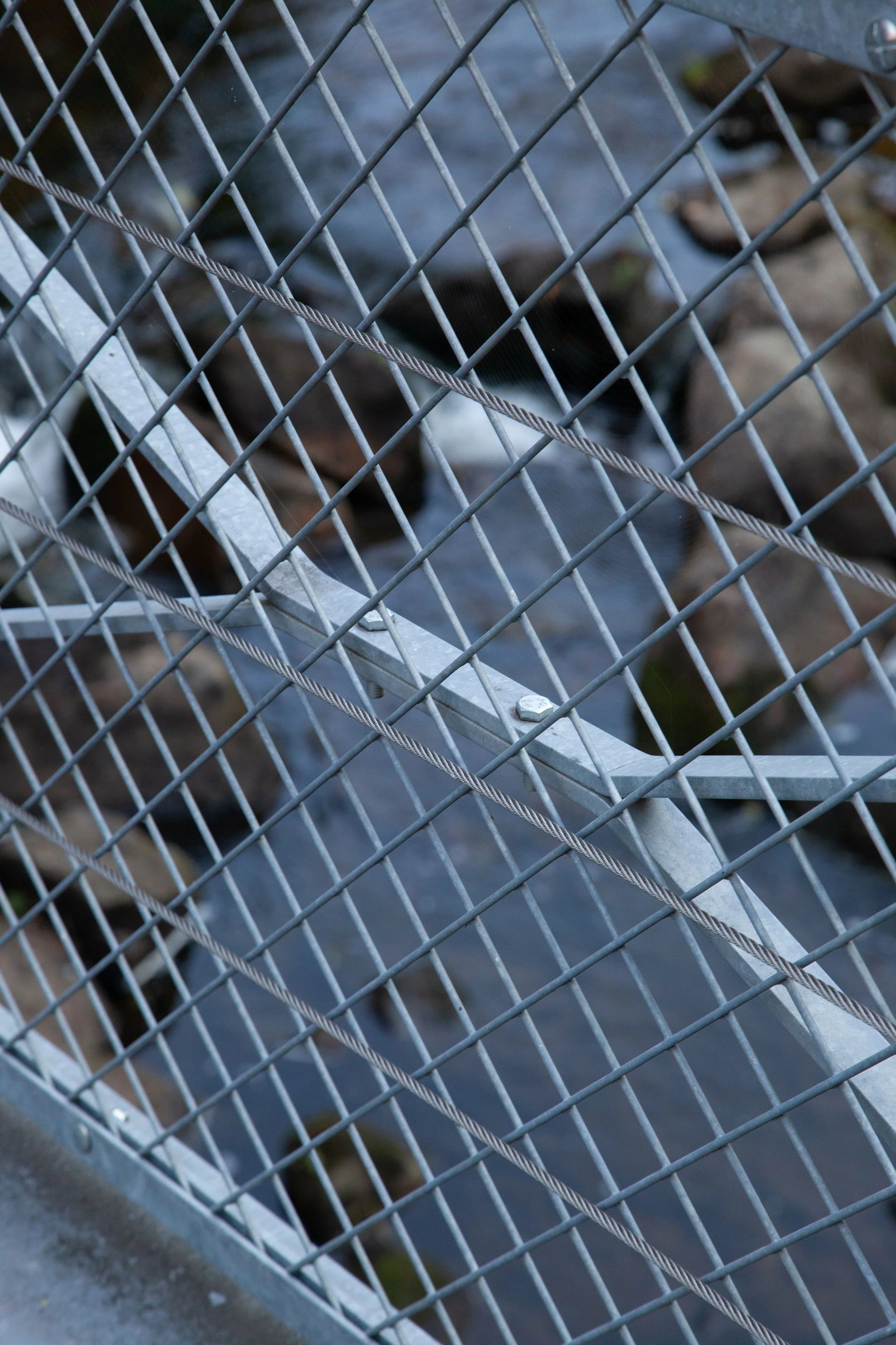 bisbille au sommet-05.jpg