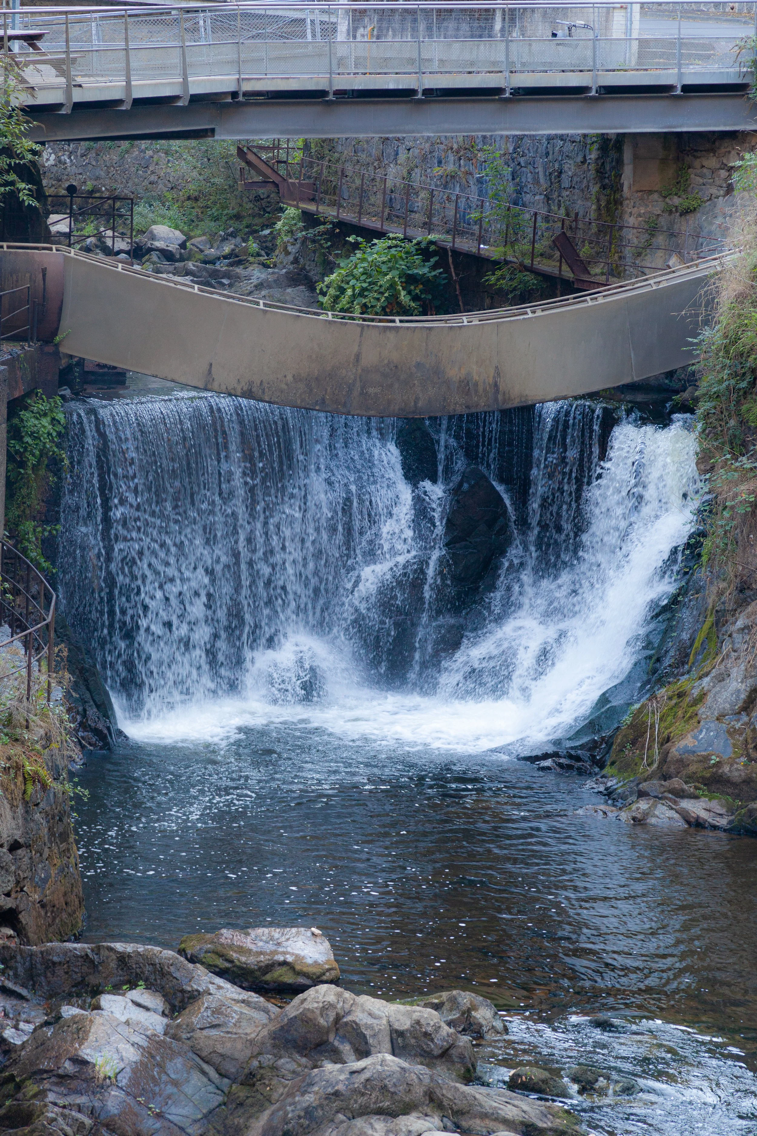 bisbille au sommet-08.jpg