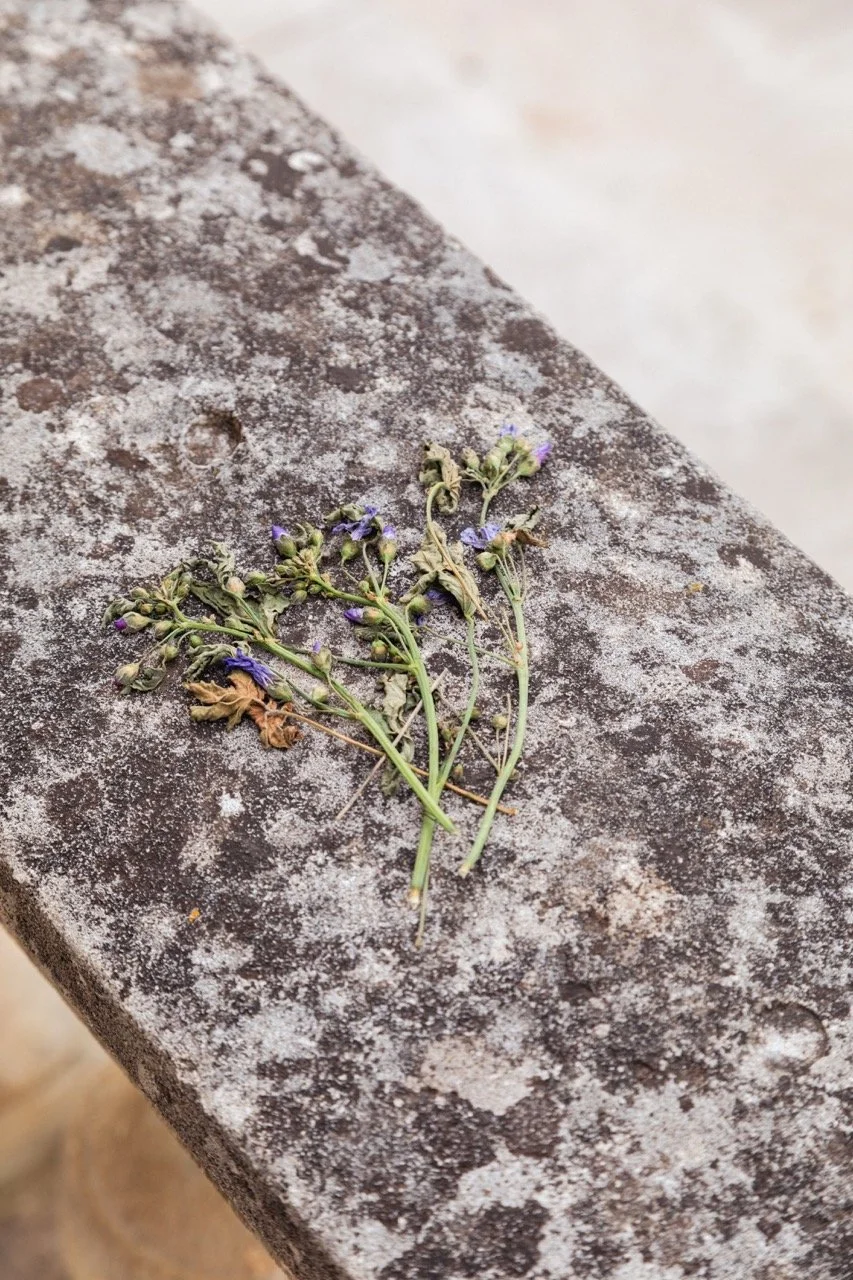 IGOStudio-Pioche Day 1-21 - Grande.jpeg