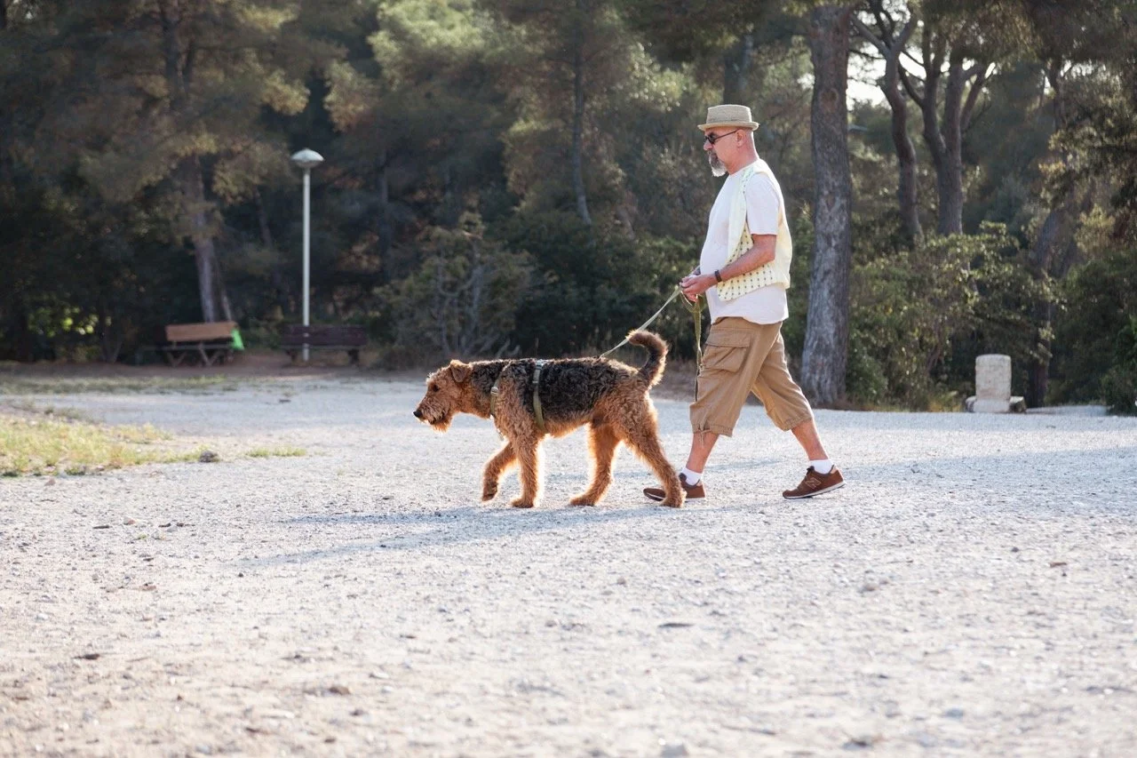 IGOStudio-Pioche Day 2-27 - Grande.jpeg