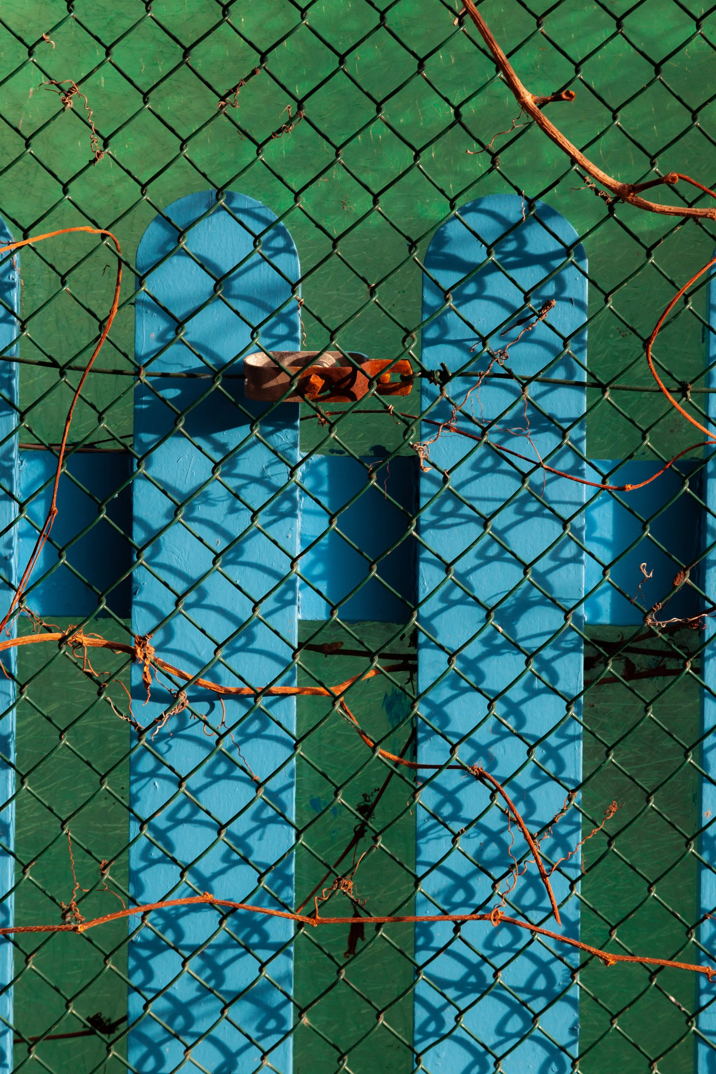 camera flow 2-09.jpg