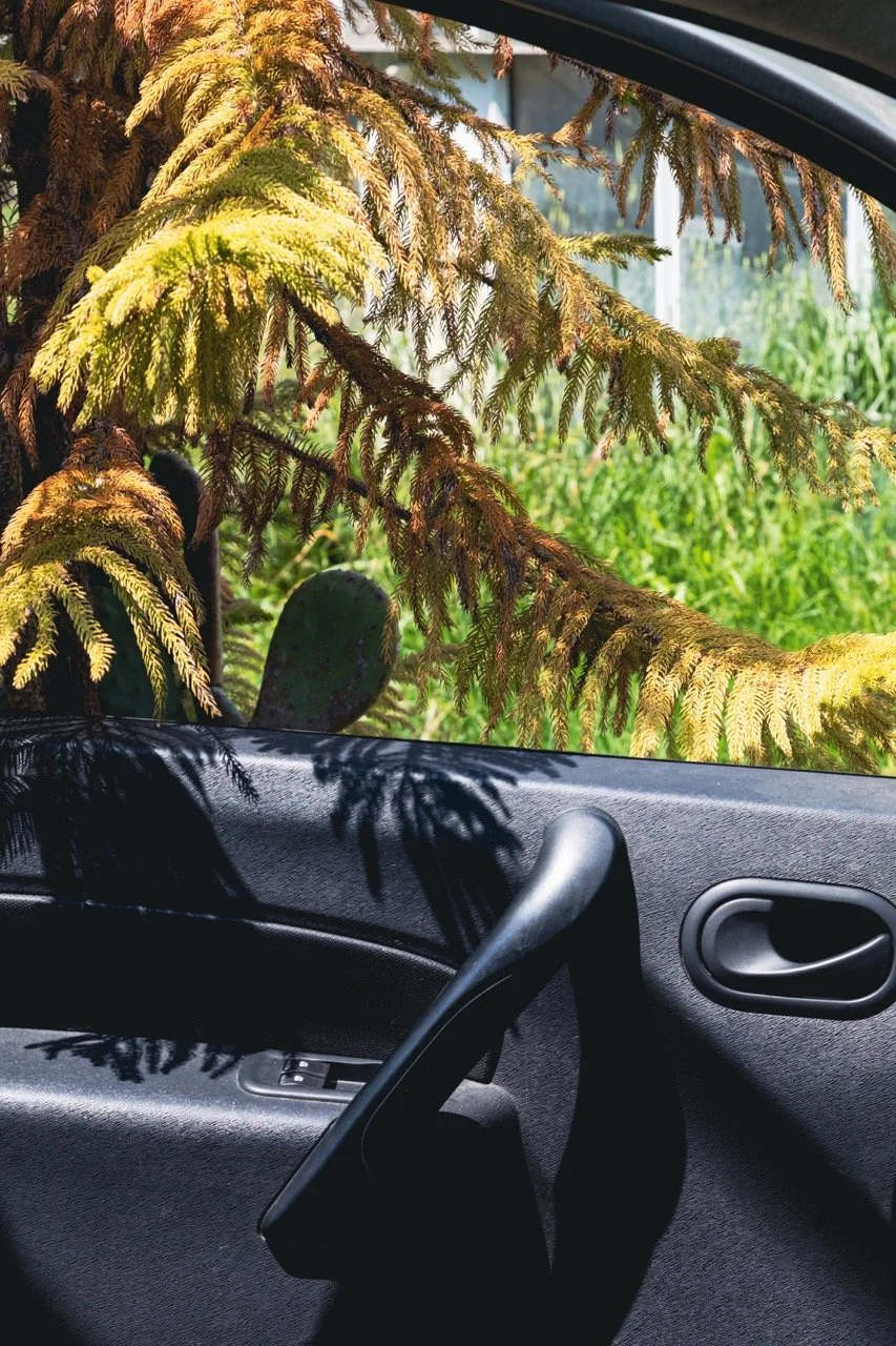 IGOSTUDIO-Akou-Jardinerie-273 - Grande.jpeg