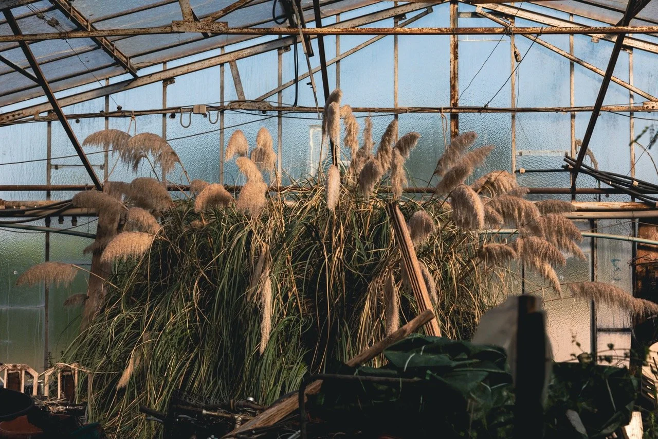 IGOSTUDIO-Akou-Jardinerie-29 - Grande.jpeg