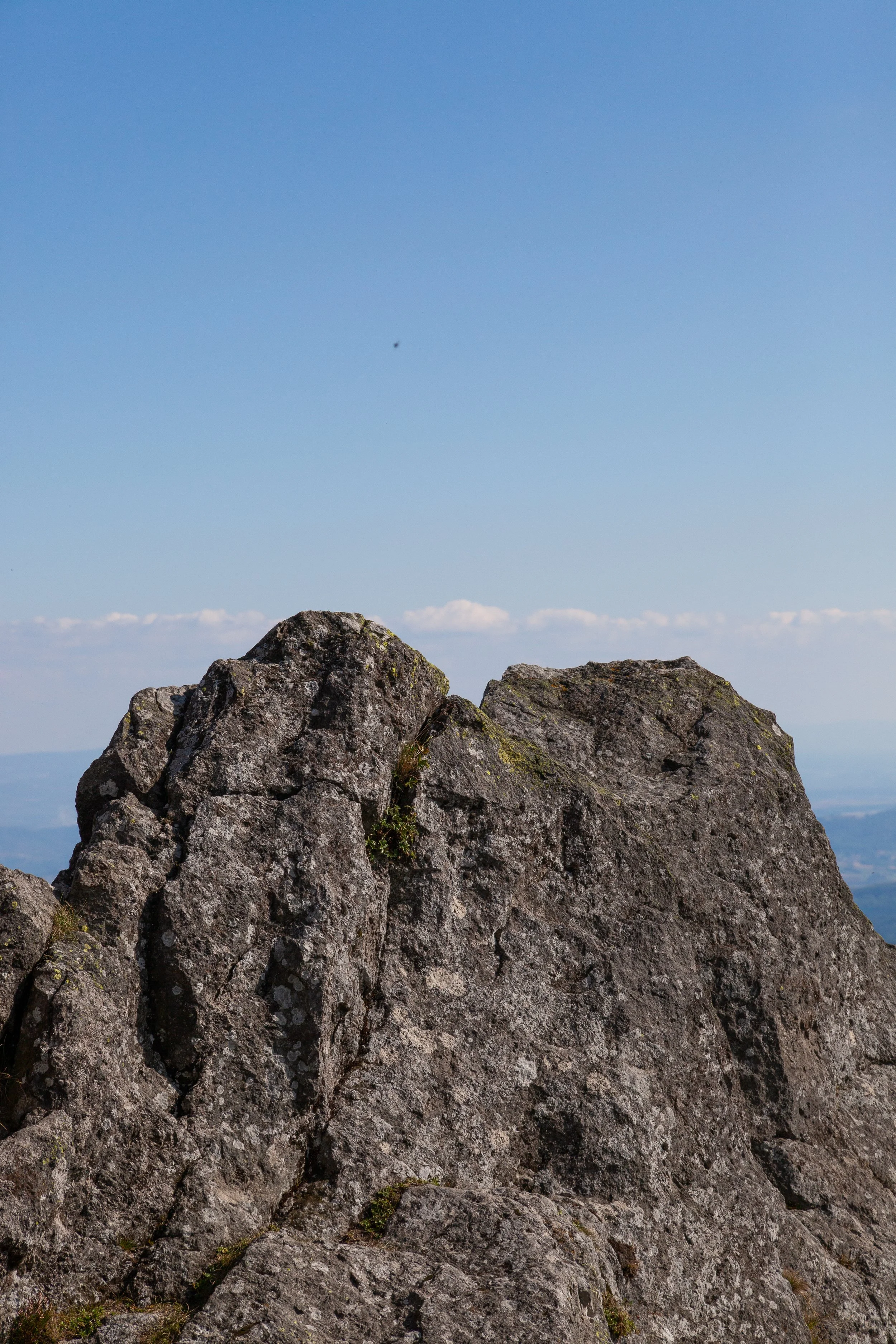 bisbille au sommet-09.jpg