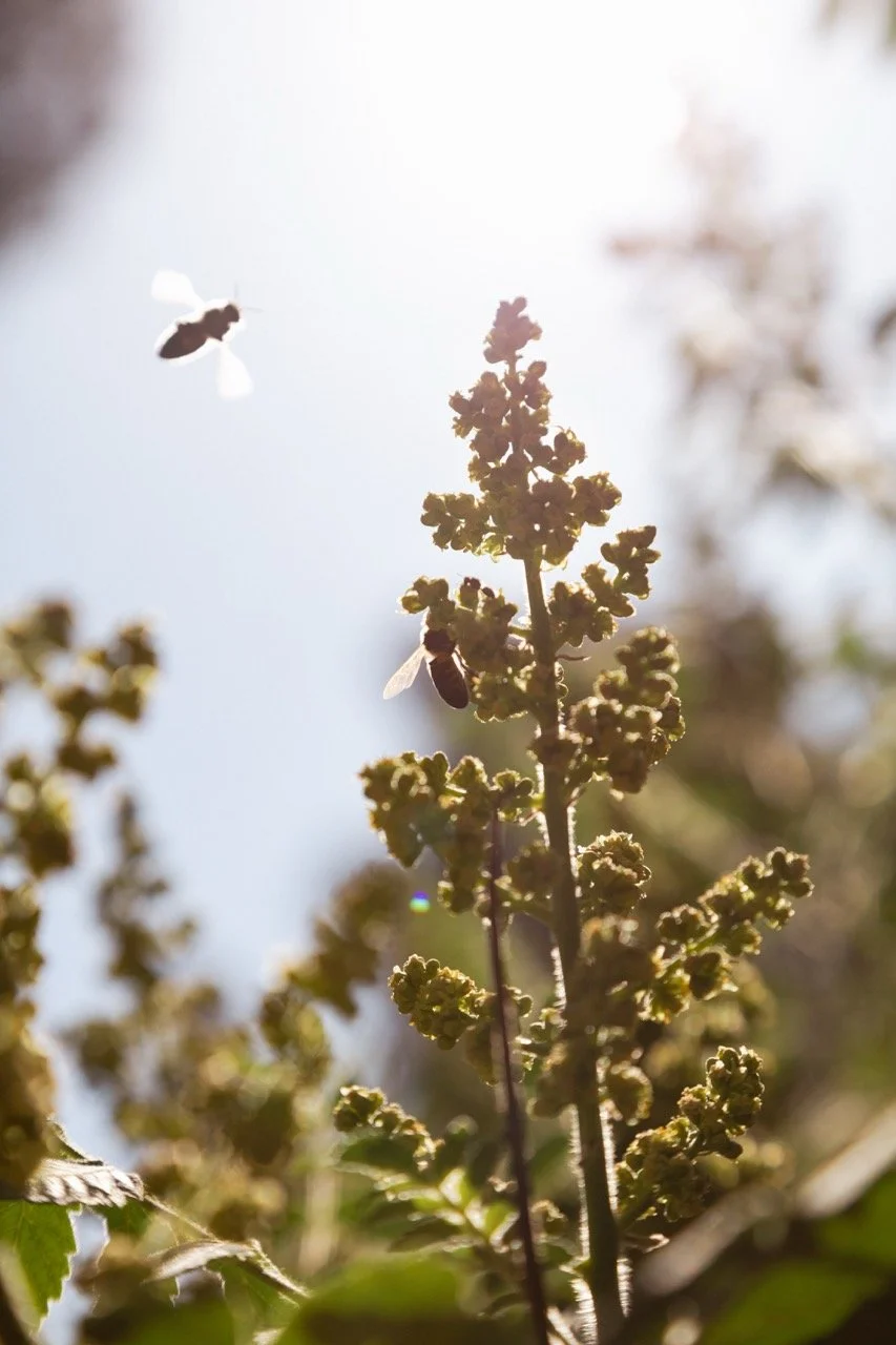 IGOStudio-Pioche Day 2-7 - Grande.jpeg