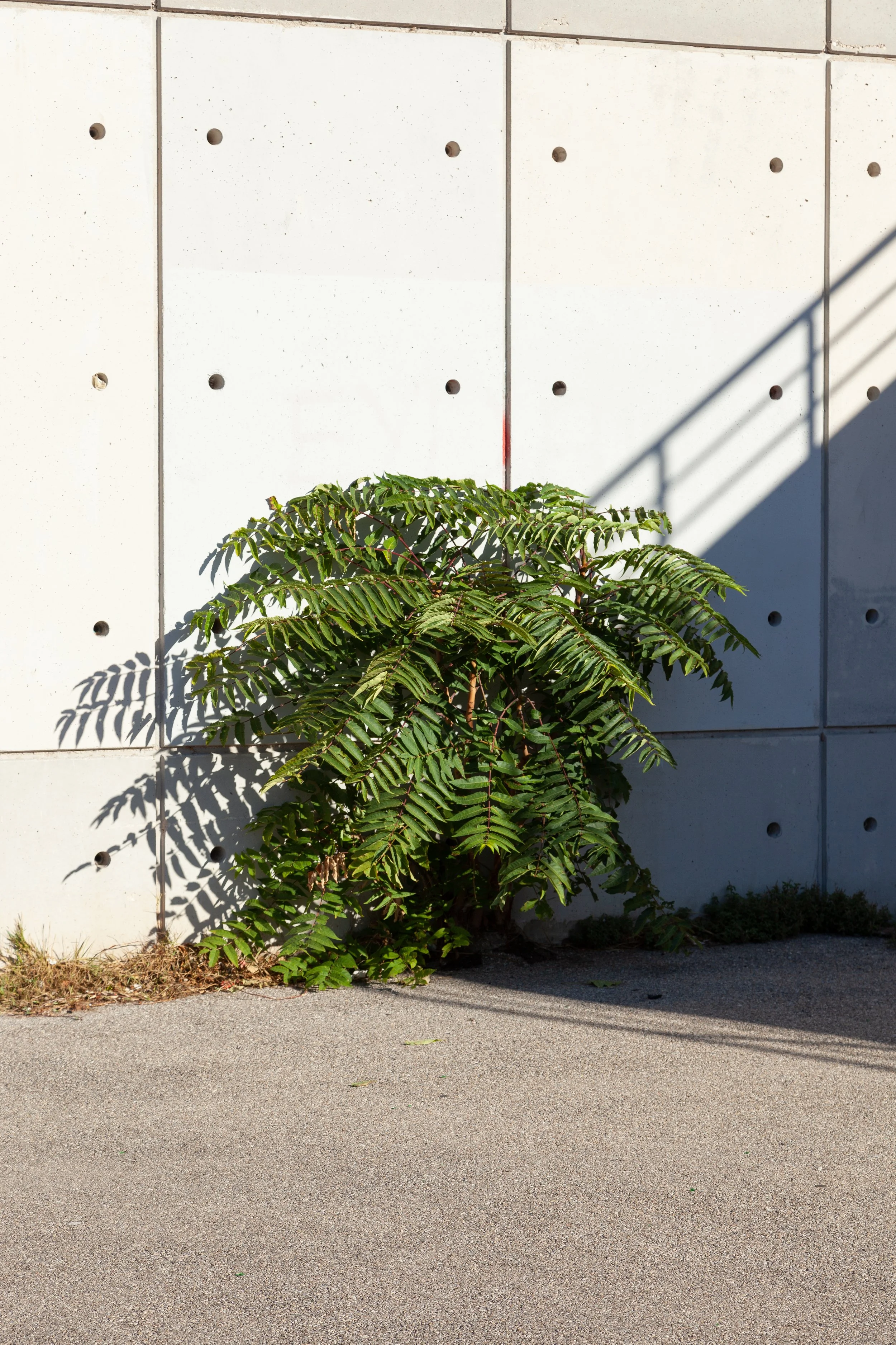 camera flow 2-19.jpg