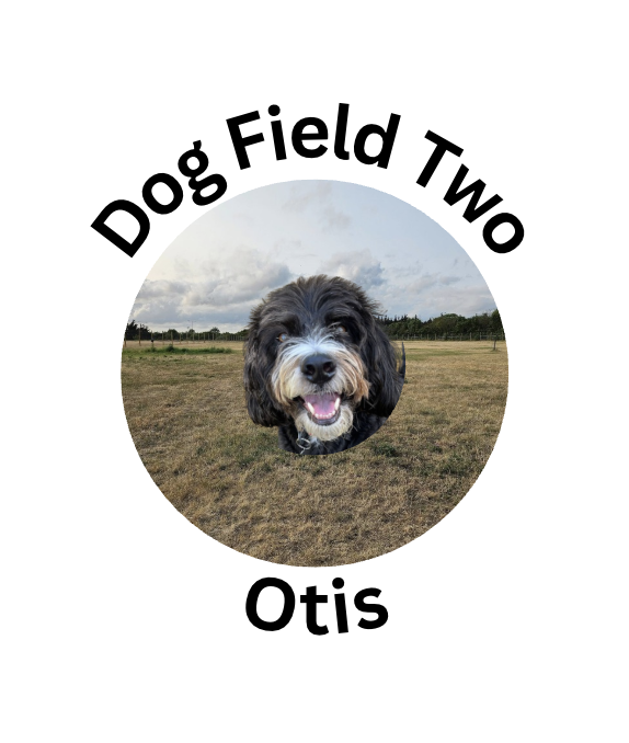 Dog Field Two: Otis