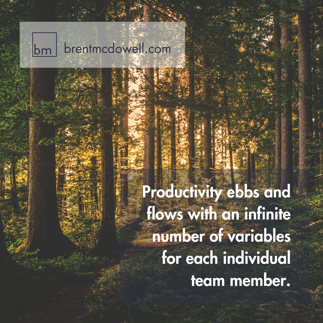 Productivity Ebbs and Flows