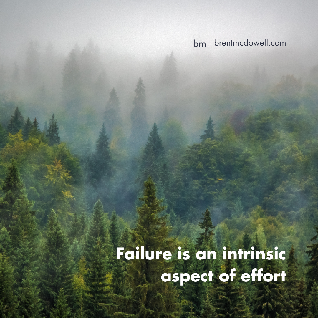Why is Failure a Bad Thing?