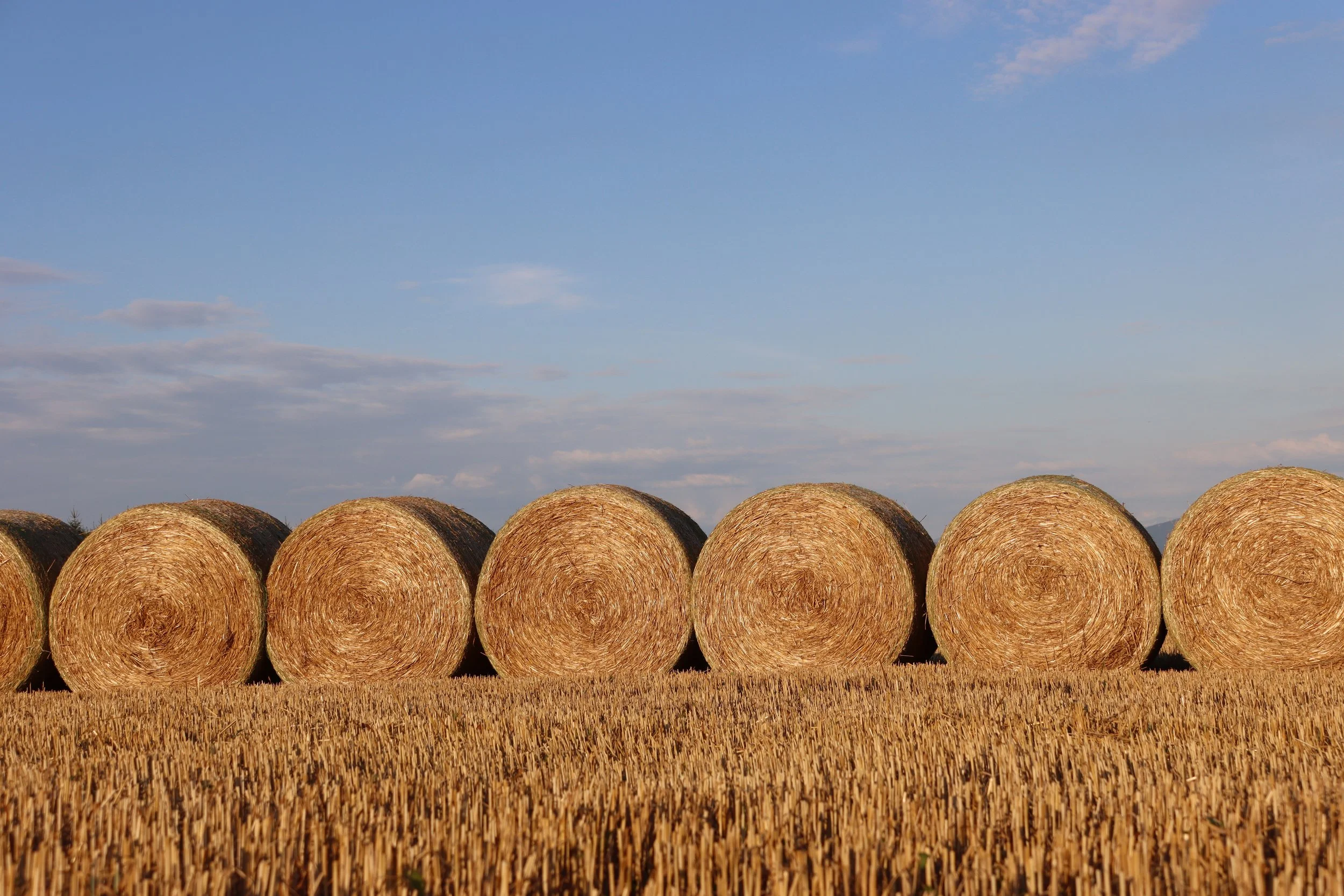 Paille - Karibati.JPG