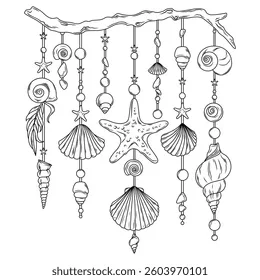 Seashell Workshop