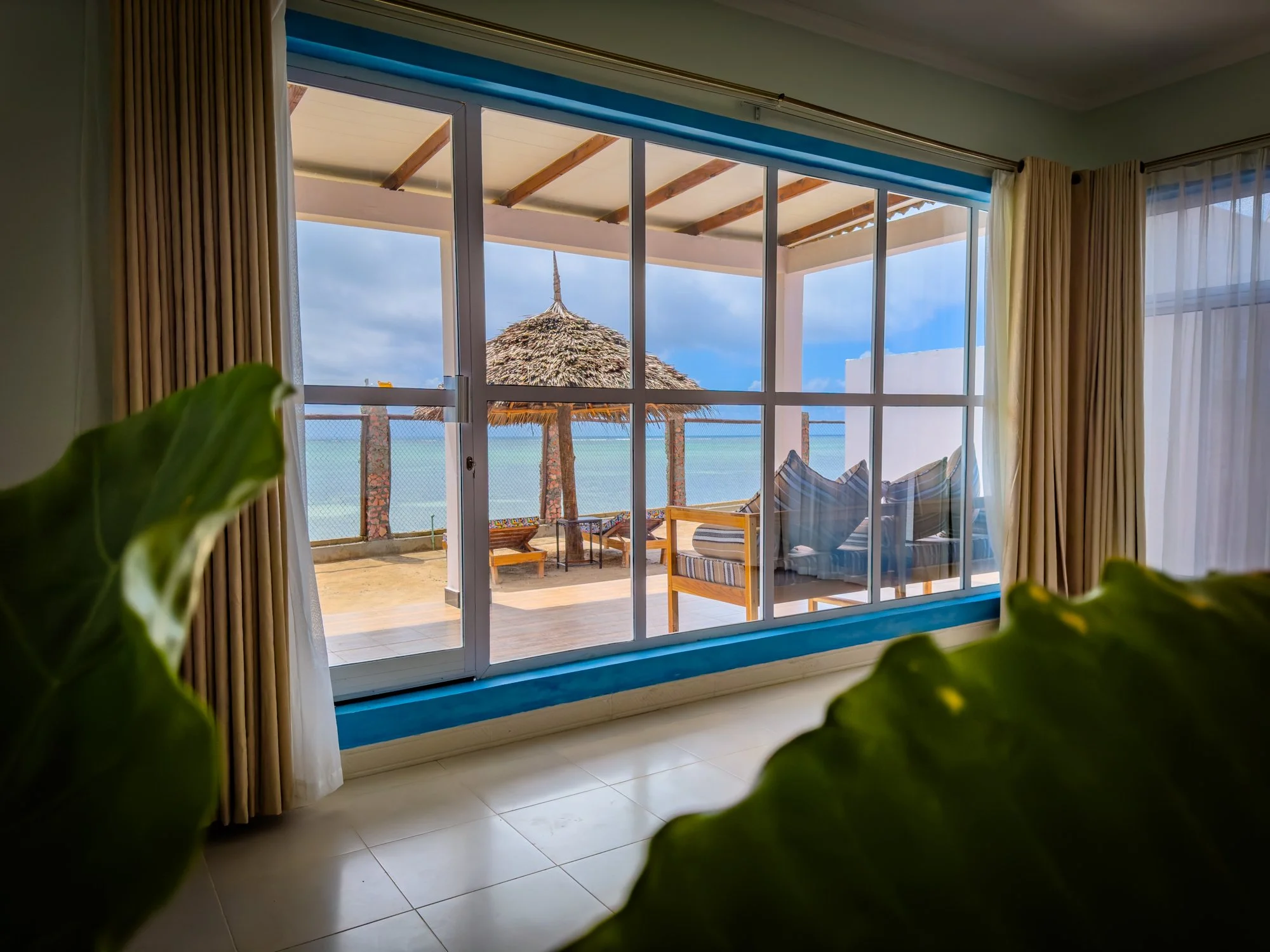 room with a view.jpg