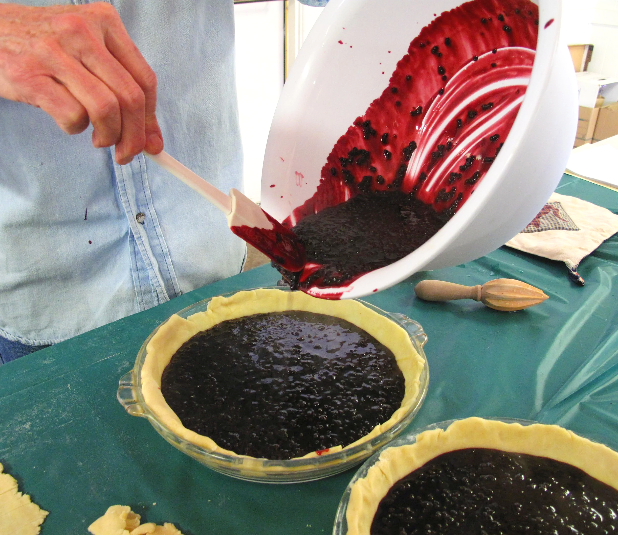 Elderberry+pie.png