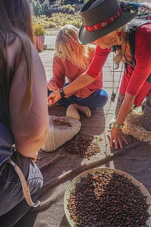 pine+nut+preparation.jpg