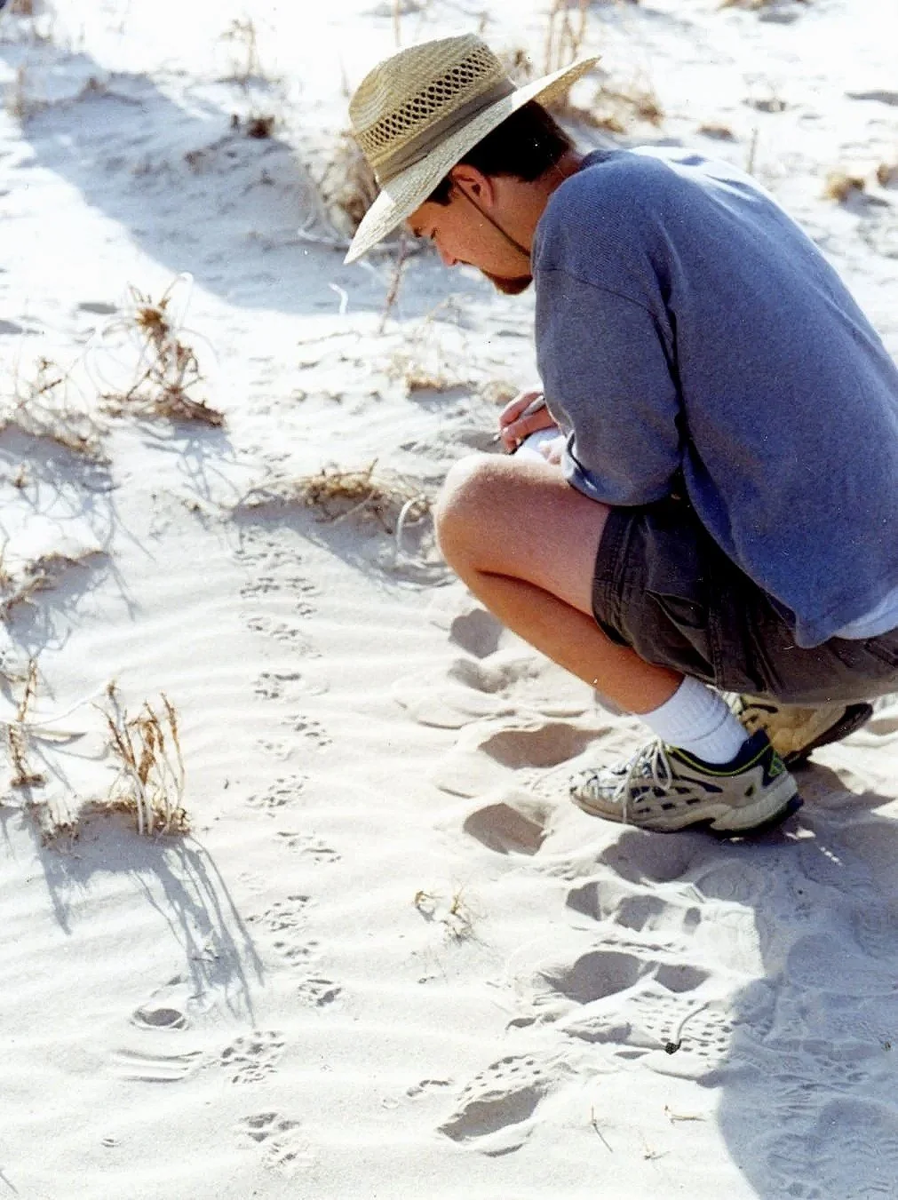 A man crouching on a sandy beach with a straw hat, wearing a blue shirt, black shorts, white socks, and athletic shoes, taking notes or examining something in the sand.