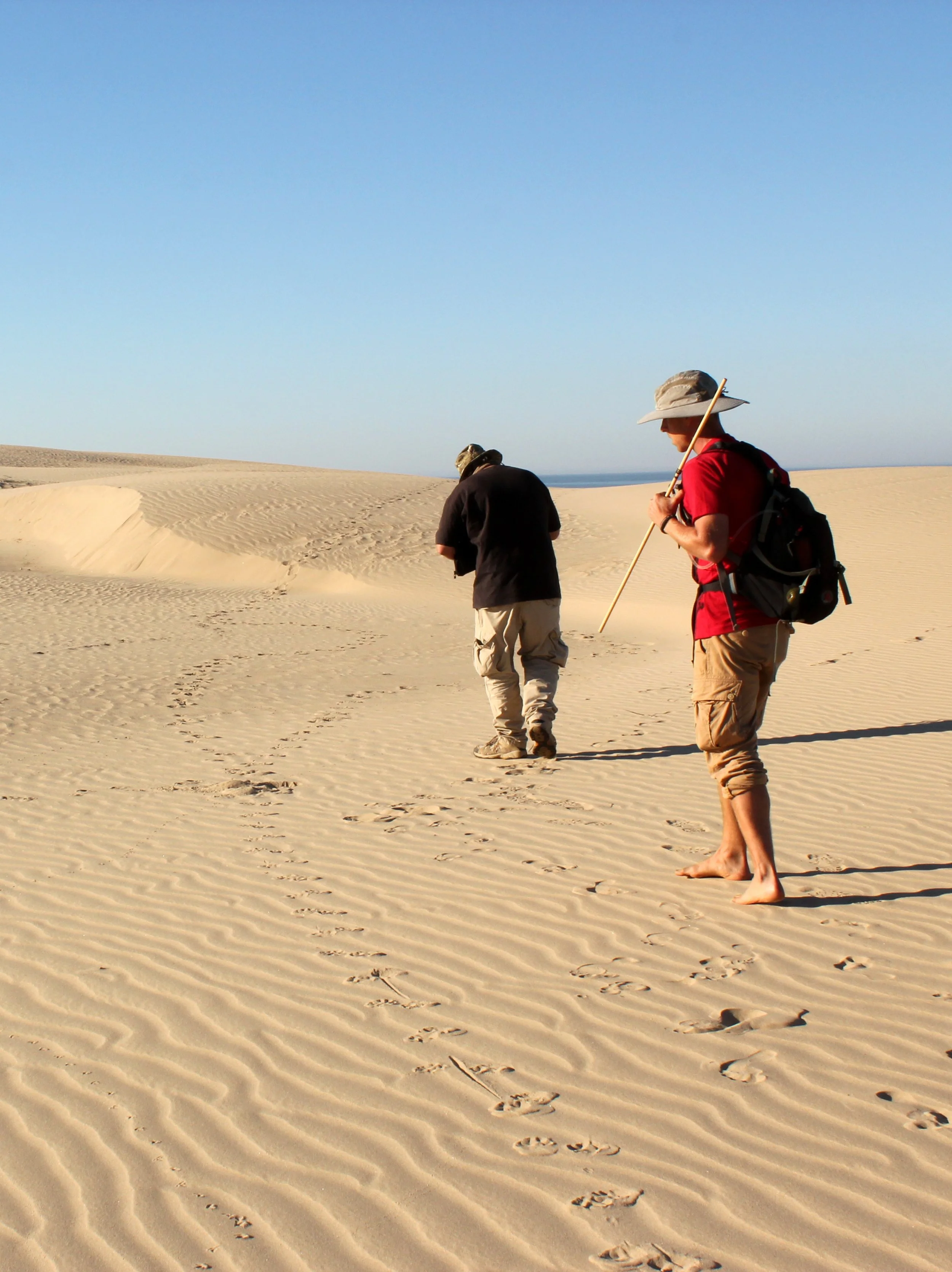 Two advanced tracking students walking barefoot in a desert with sand dunes, one with a backpack and hat, the other with a wide-brimmed hat and walking stick.