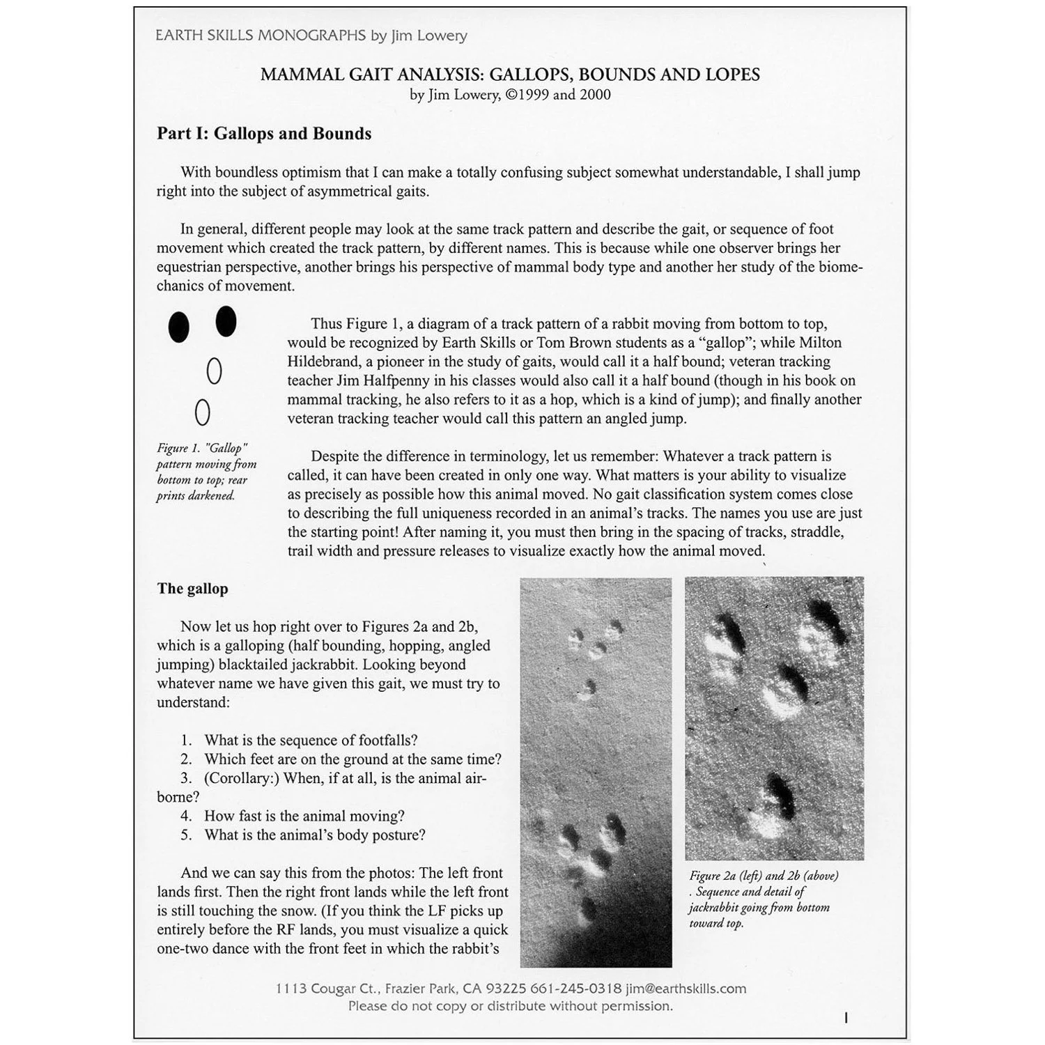 Gait Analysis: Gallops, Bounds and Lopes - by Jim Lowery - PDF DOWNLOAD