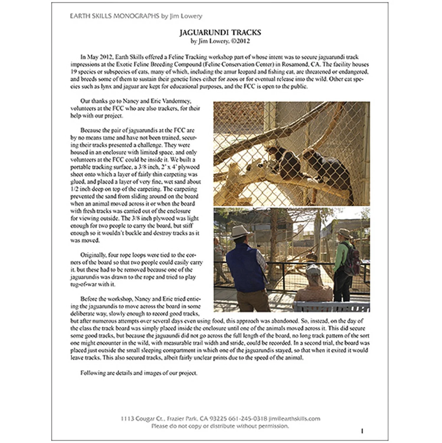 Jaguarundi Tracks - by Jim Lowery - PDF DOWNLOAD