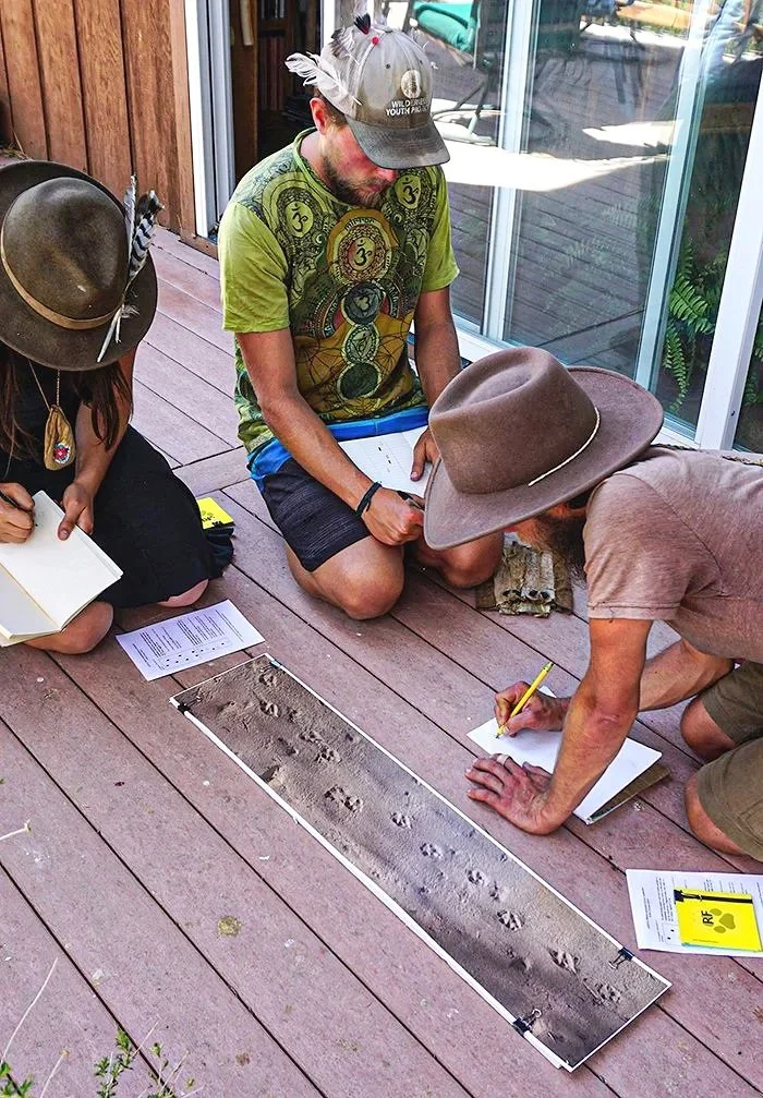 Three people sitting and kneeling on a wooden deck outdoors, observing animal tracks in a rectangular sand tray with footprints, taking notes on clipboards and papers.