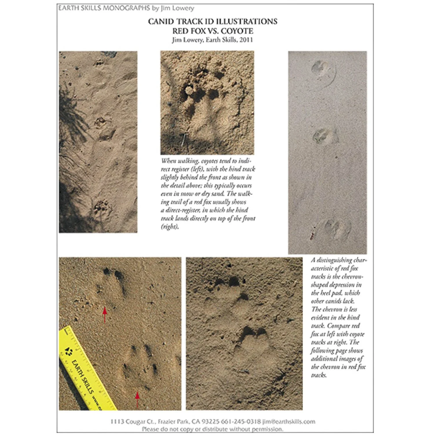 Specialty Animal Tracking Articles, Earth Skills, Jim Lowery-013.JPG