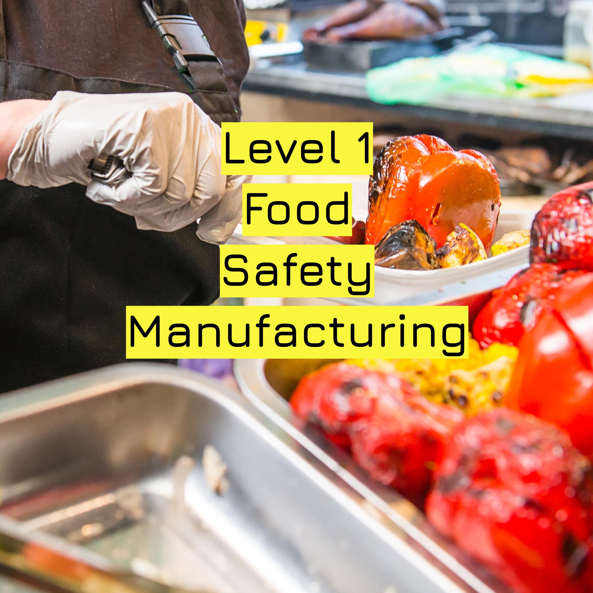 Level 1 Food Safety Manufacturing.jpg