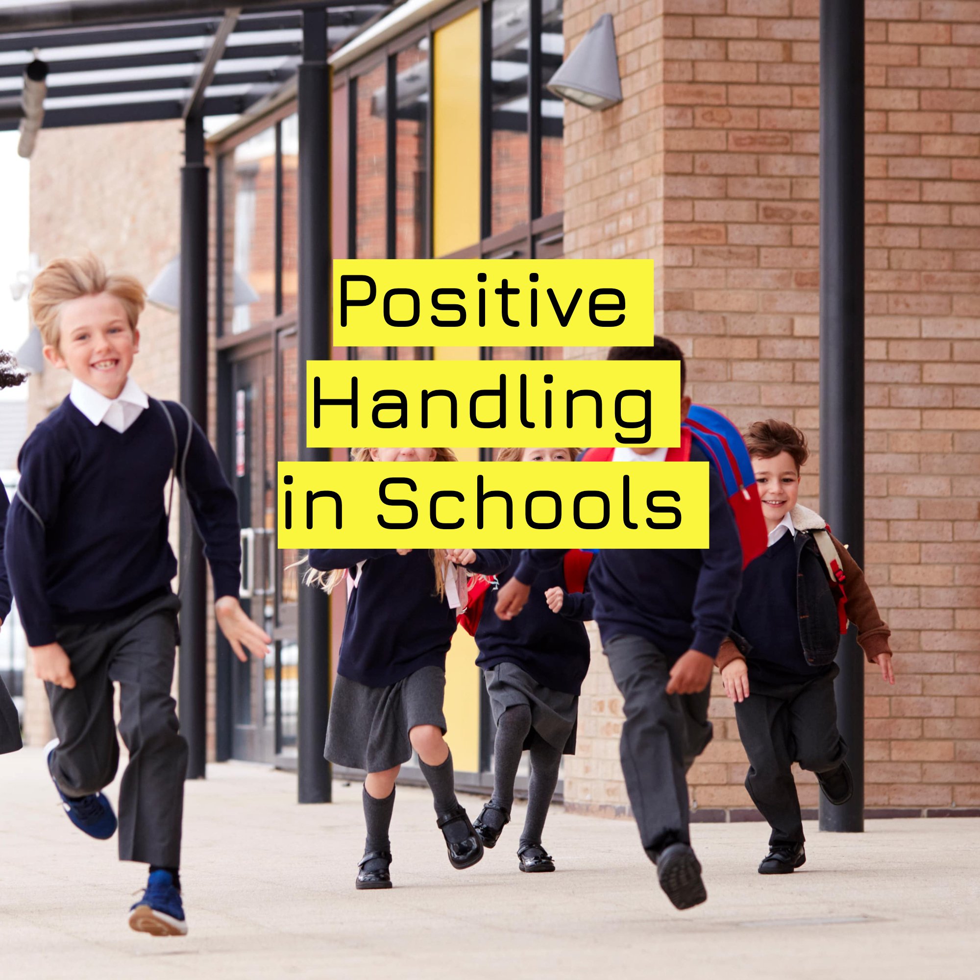 Positive  Handling  in Schools .jpg
