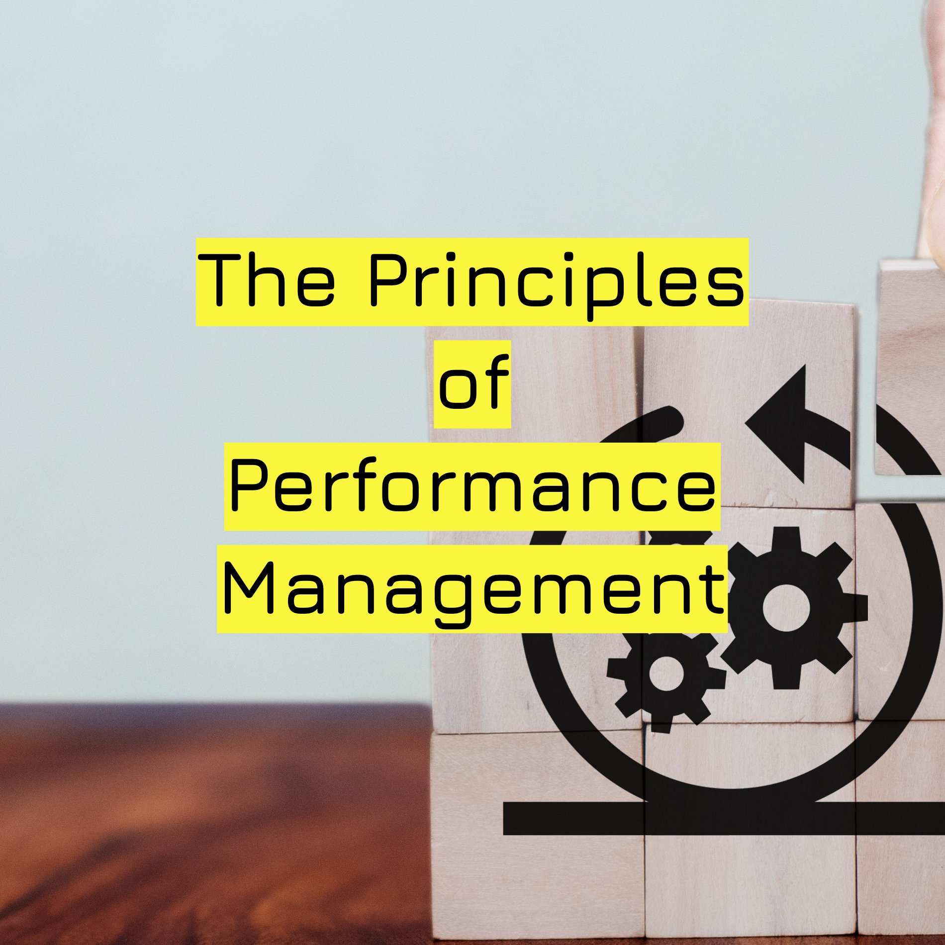 The Principles of Performance Management .jpg