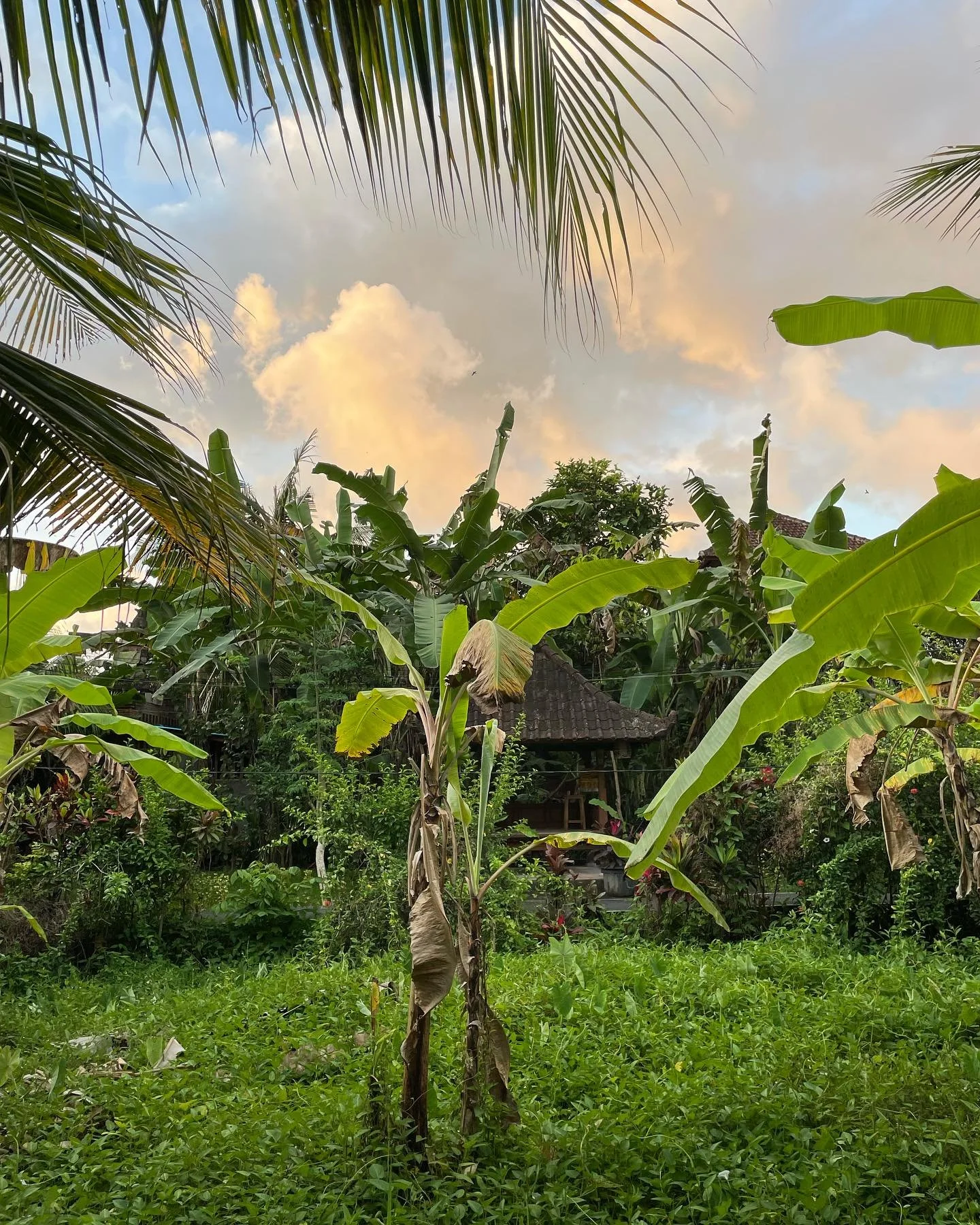 Apr&egrave;s un mois de break je reviens en pleine forme et ressourc&eacute;e pour ces prochaines semaines avec vous ☺️

Au programme pour moi les accompagnements 1-1 qui reprennent d&egrave;s le 9 septembre, la conf&eacute;rence de @brucelipton en B