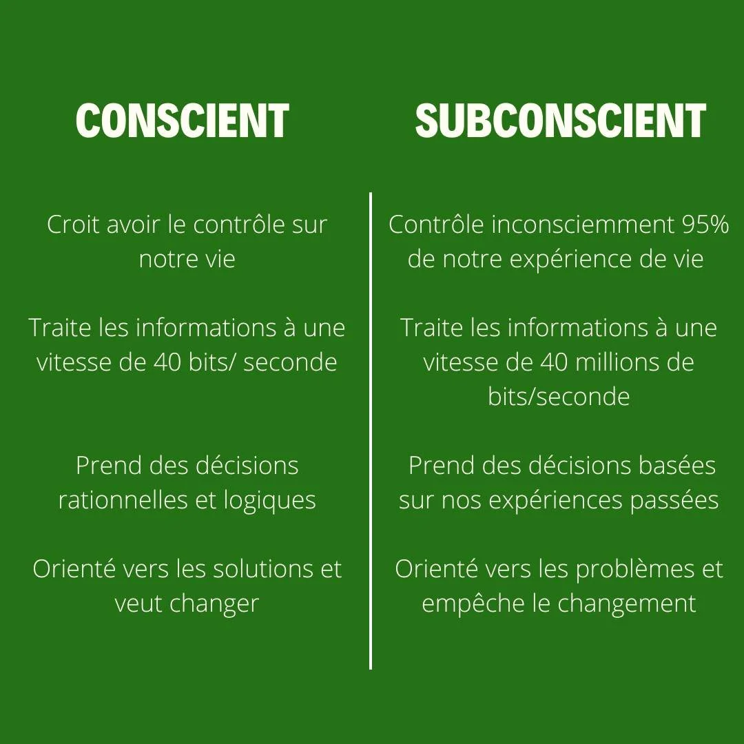 Le subconscient est l&rsquo;endroit o&ugrave; sont stock&eacute;es nos exp&eacute;riences pass&eacute;es et nos croyances, influen&ccedil;ant ainsi la plupart de nos comportements.

On peut le comparer &agrave; un disque dur qui enregistre une multit