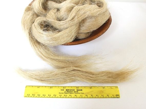 Flax fiber.jpg